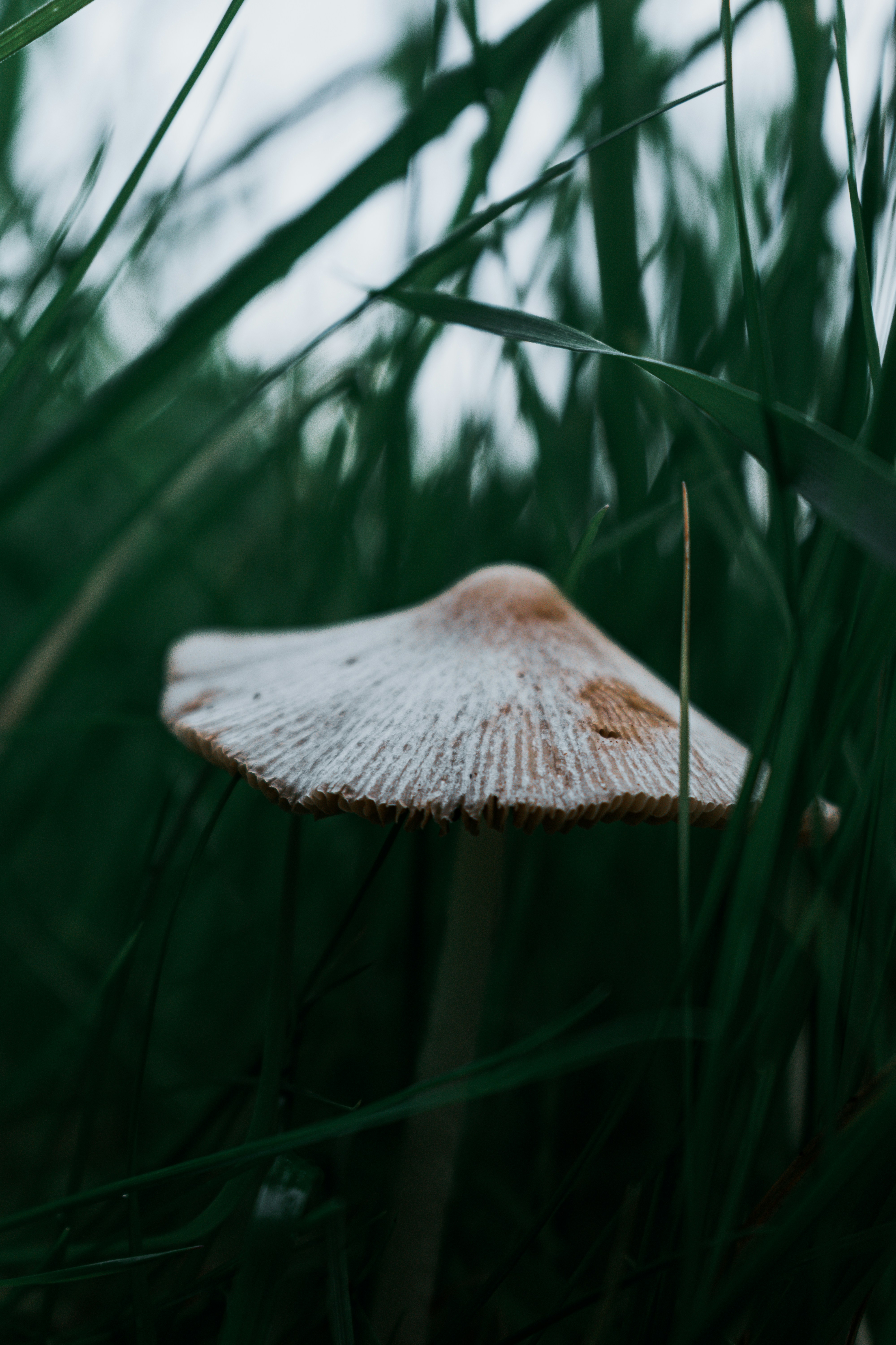 Photo by vadym_alyekseyenko