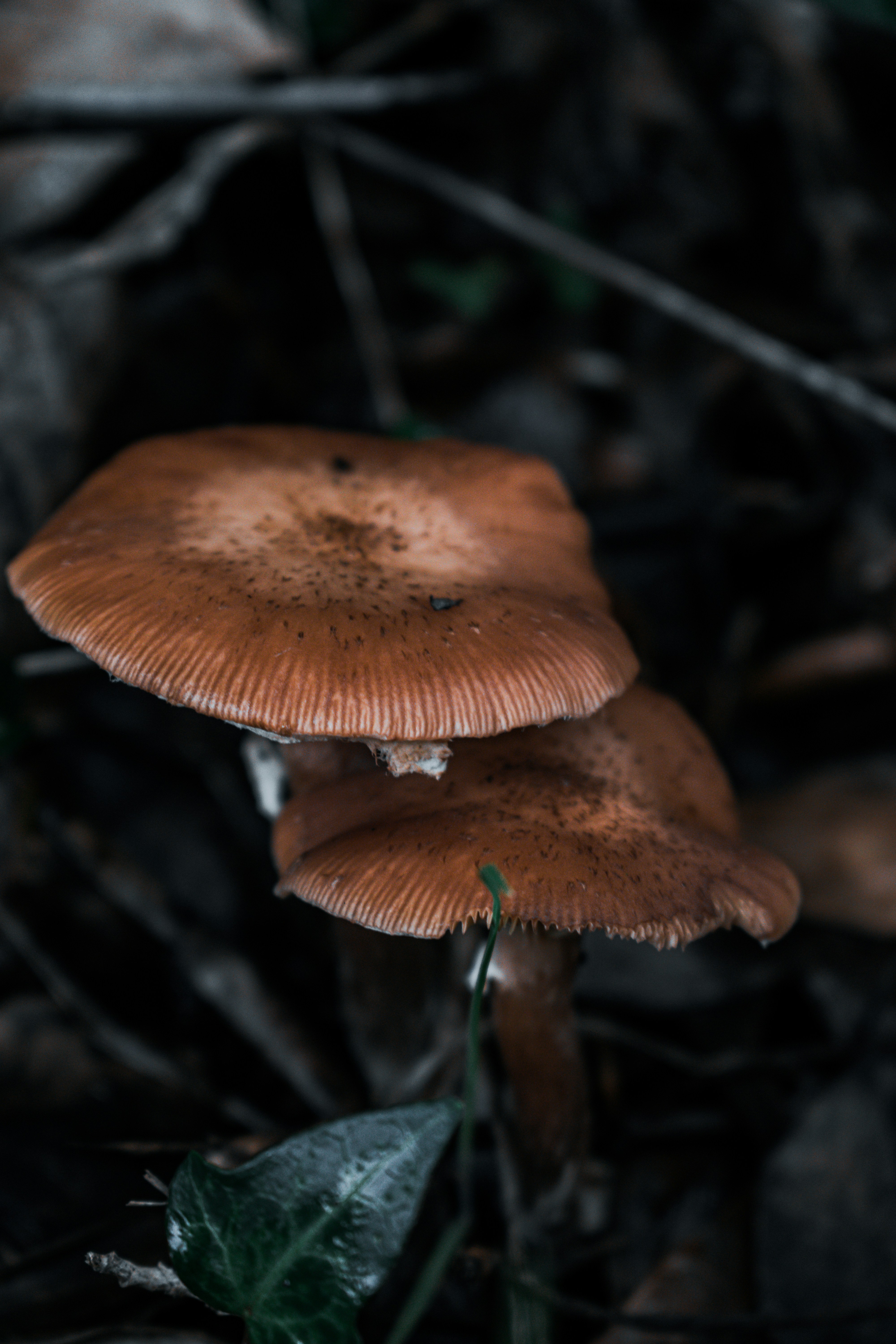 Photo by vadym_alyekseyenko