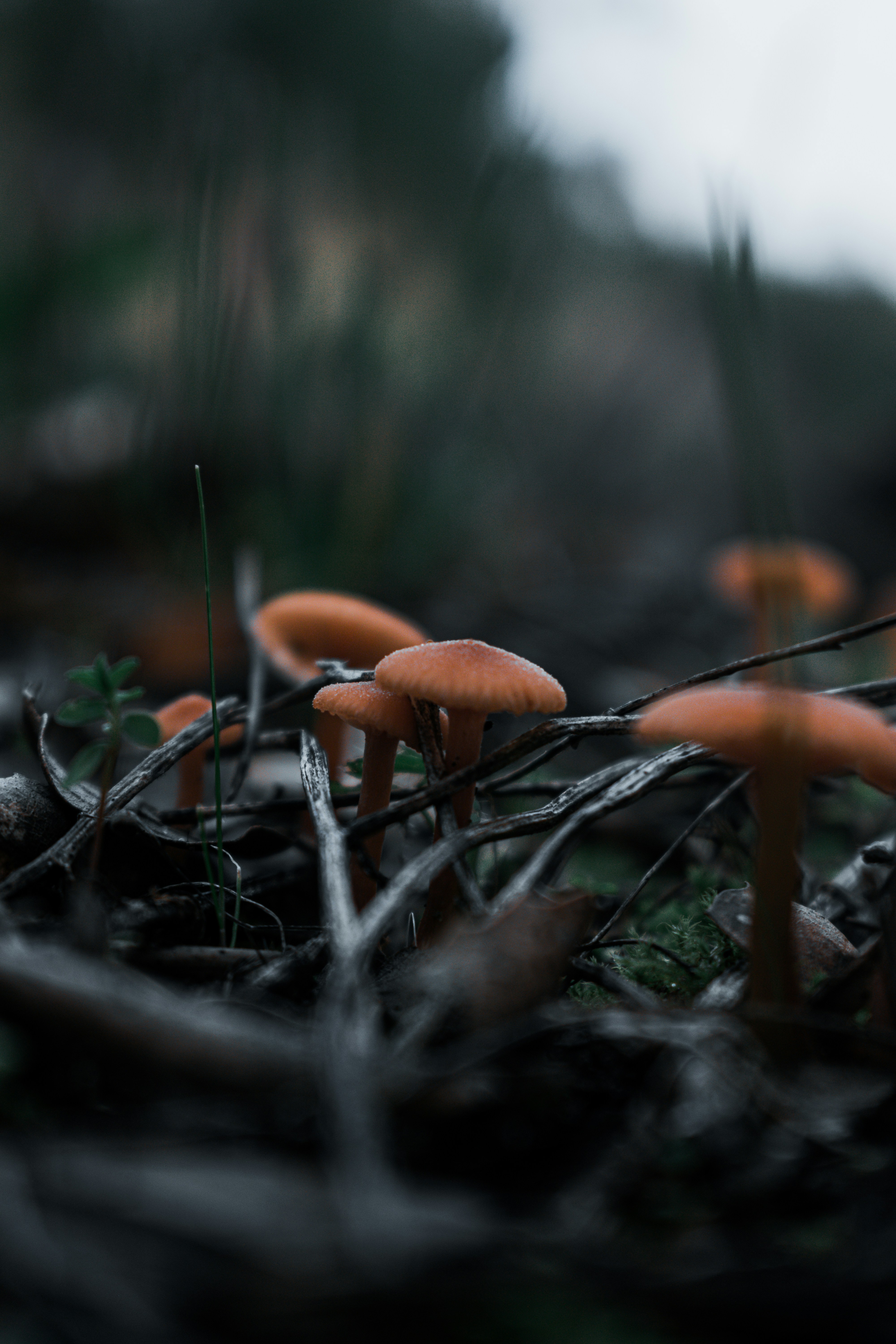 Photo by vadym_alyekseyenko