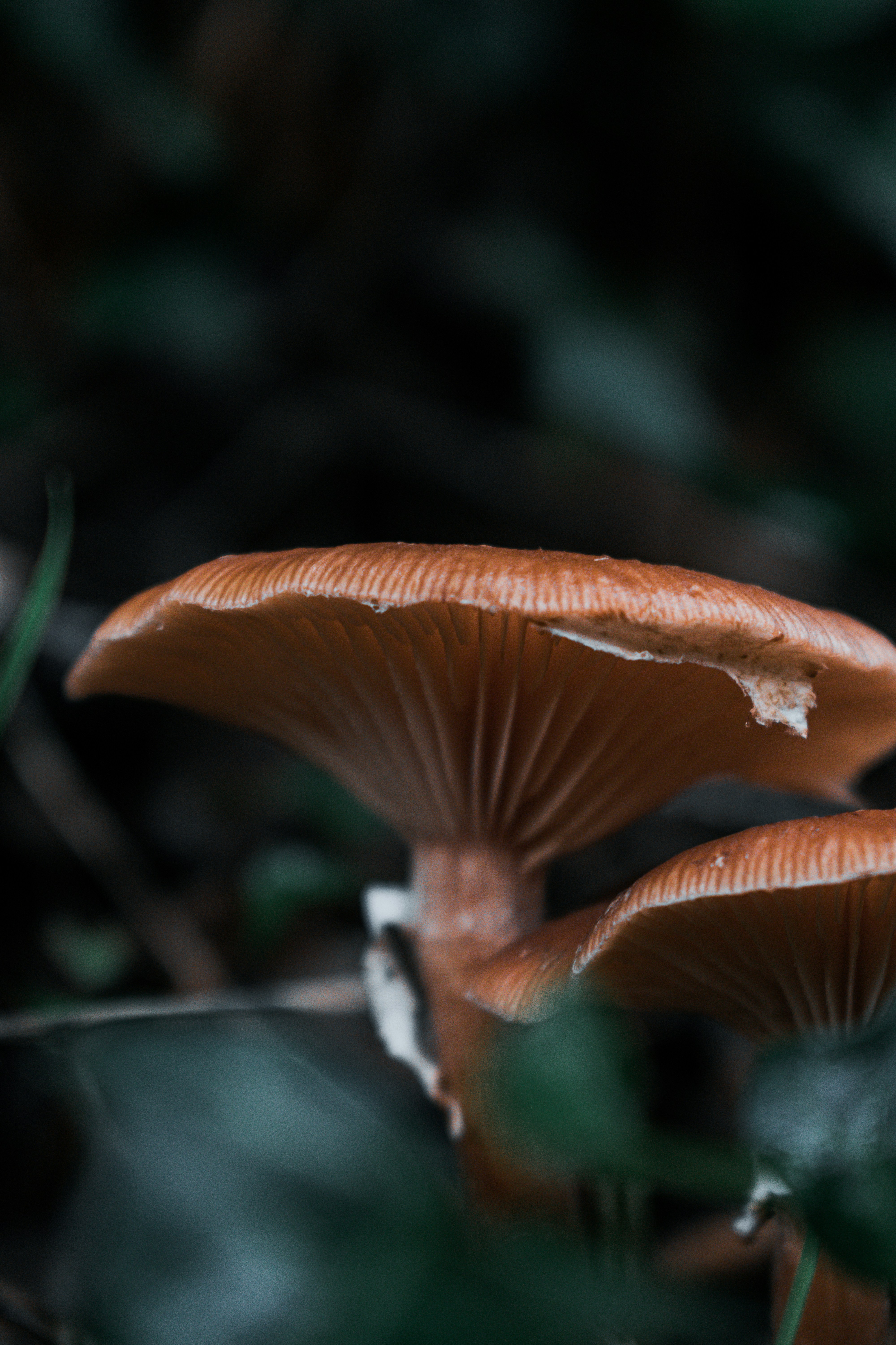 Photo by vadym_alyekseyenko