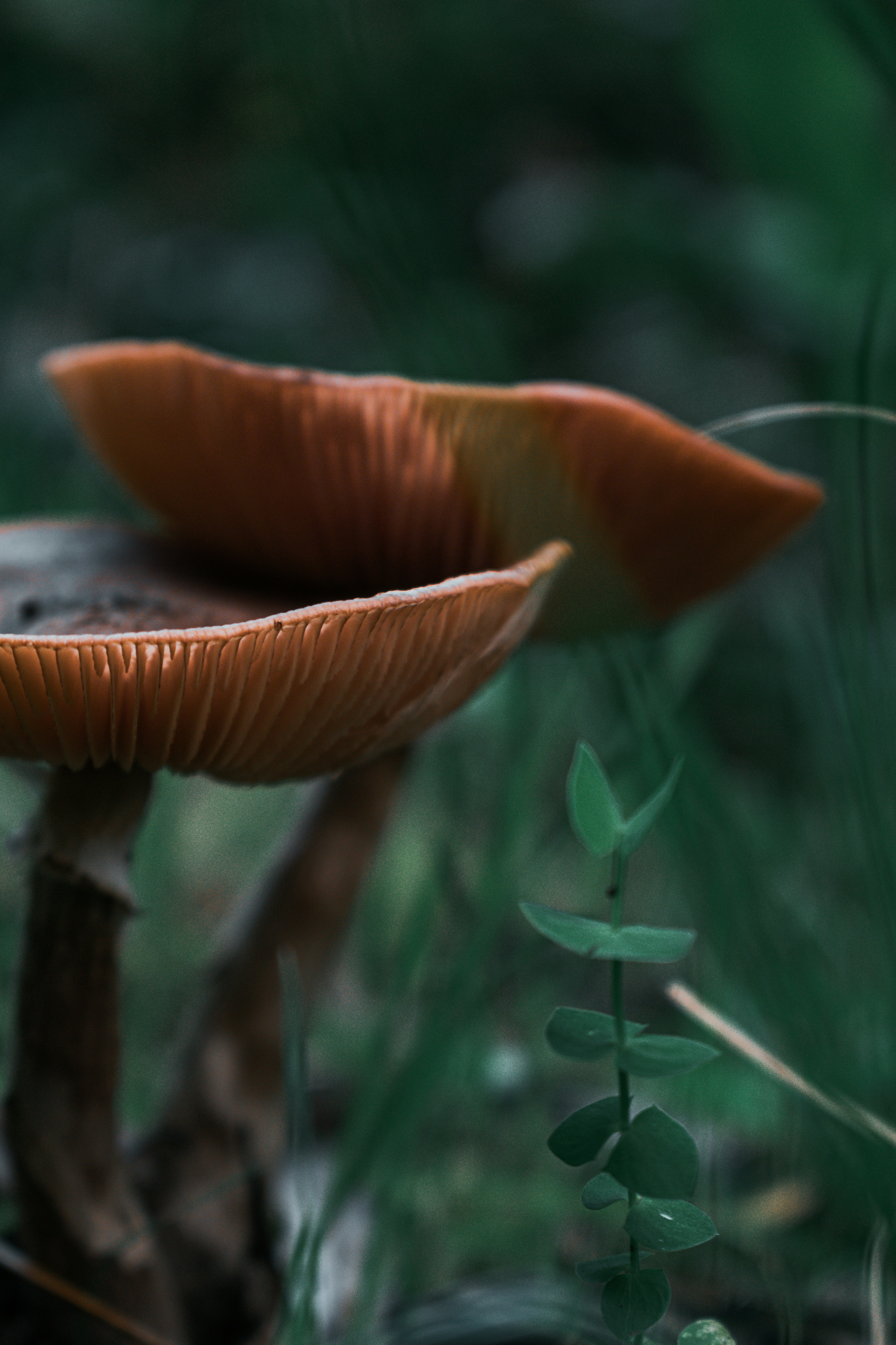 Photo by vadym_alyekseyenko