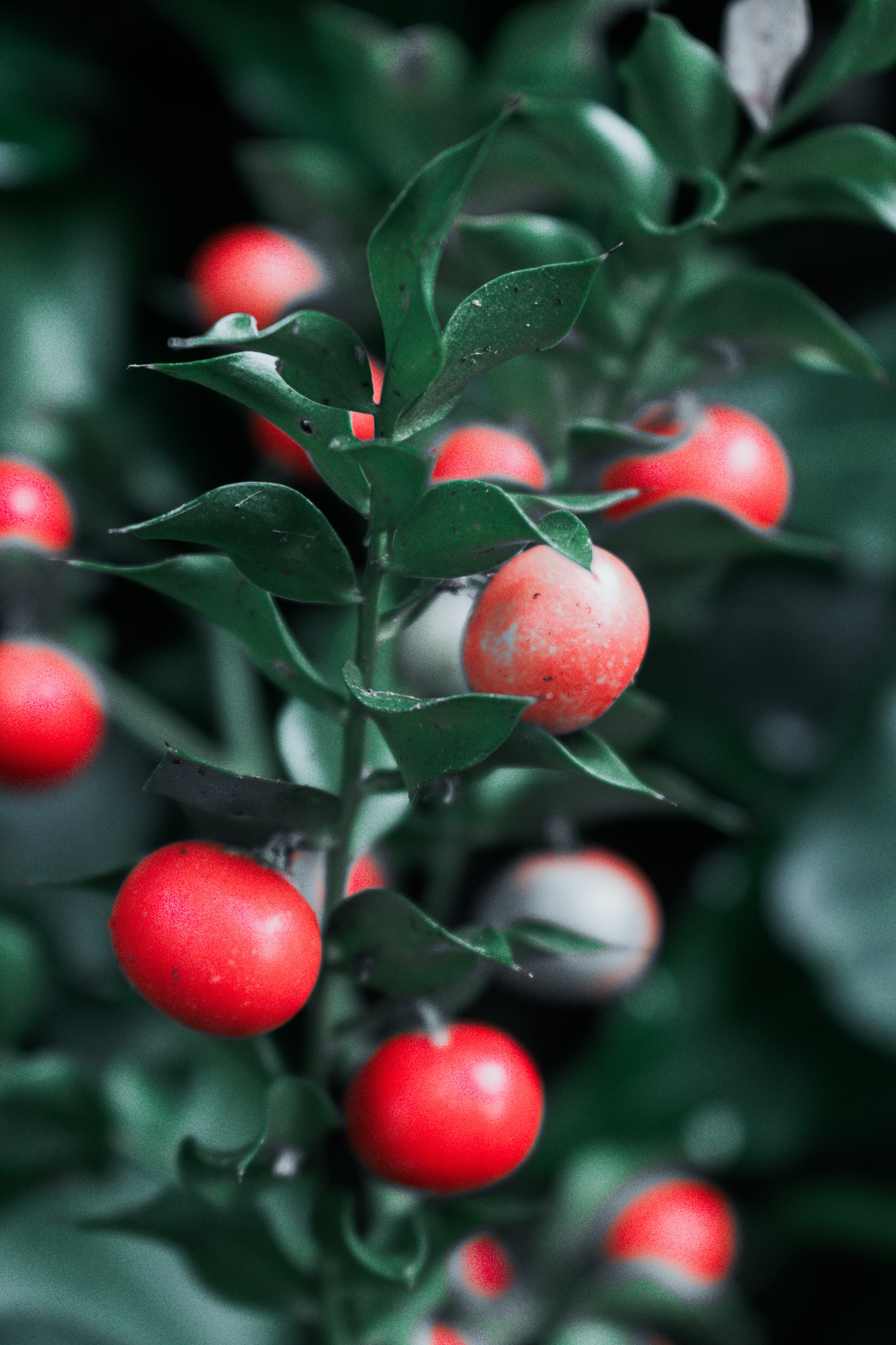 Photo by vadym_alyekseyenko