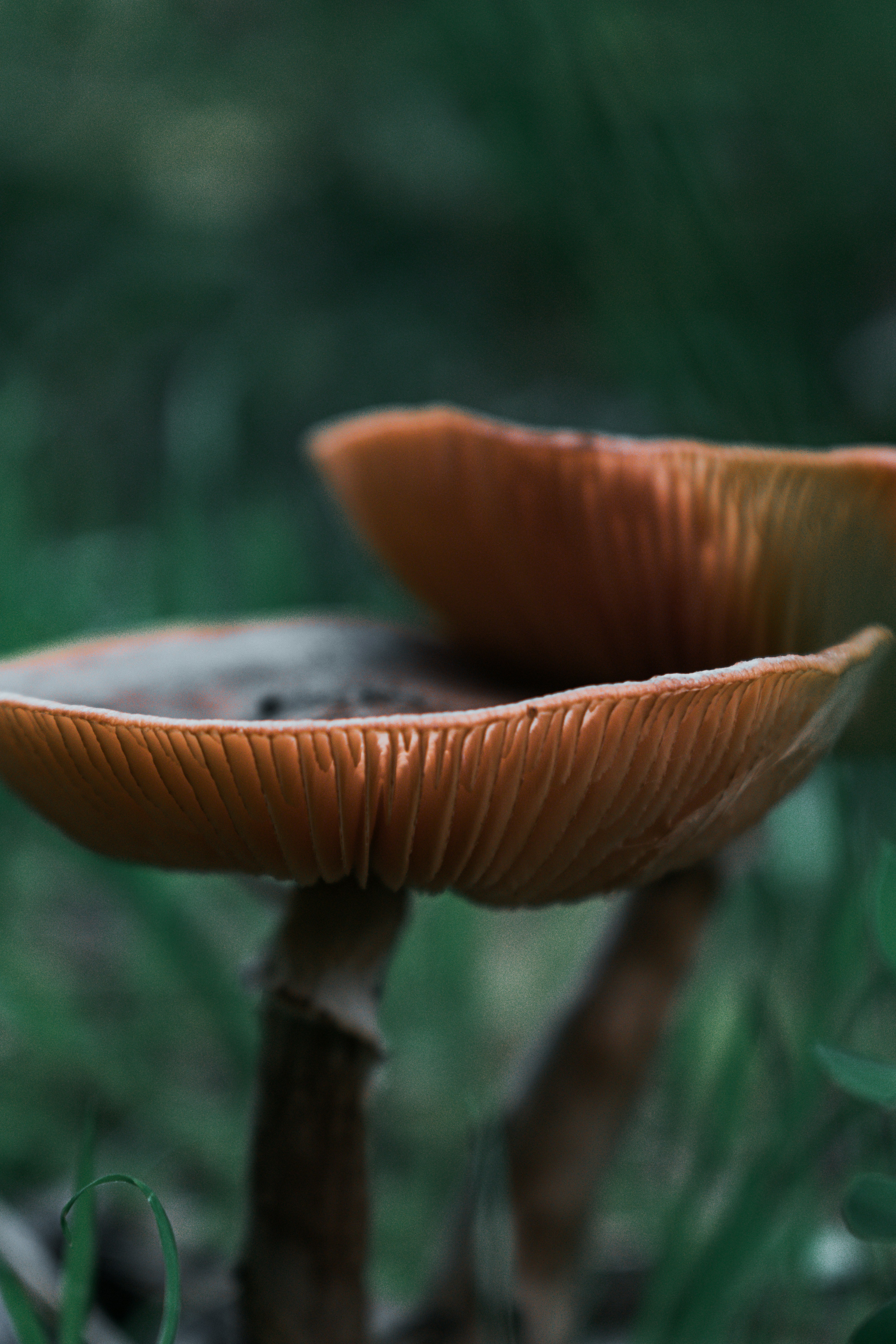 Photo by vadym_alyekseyenko