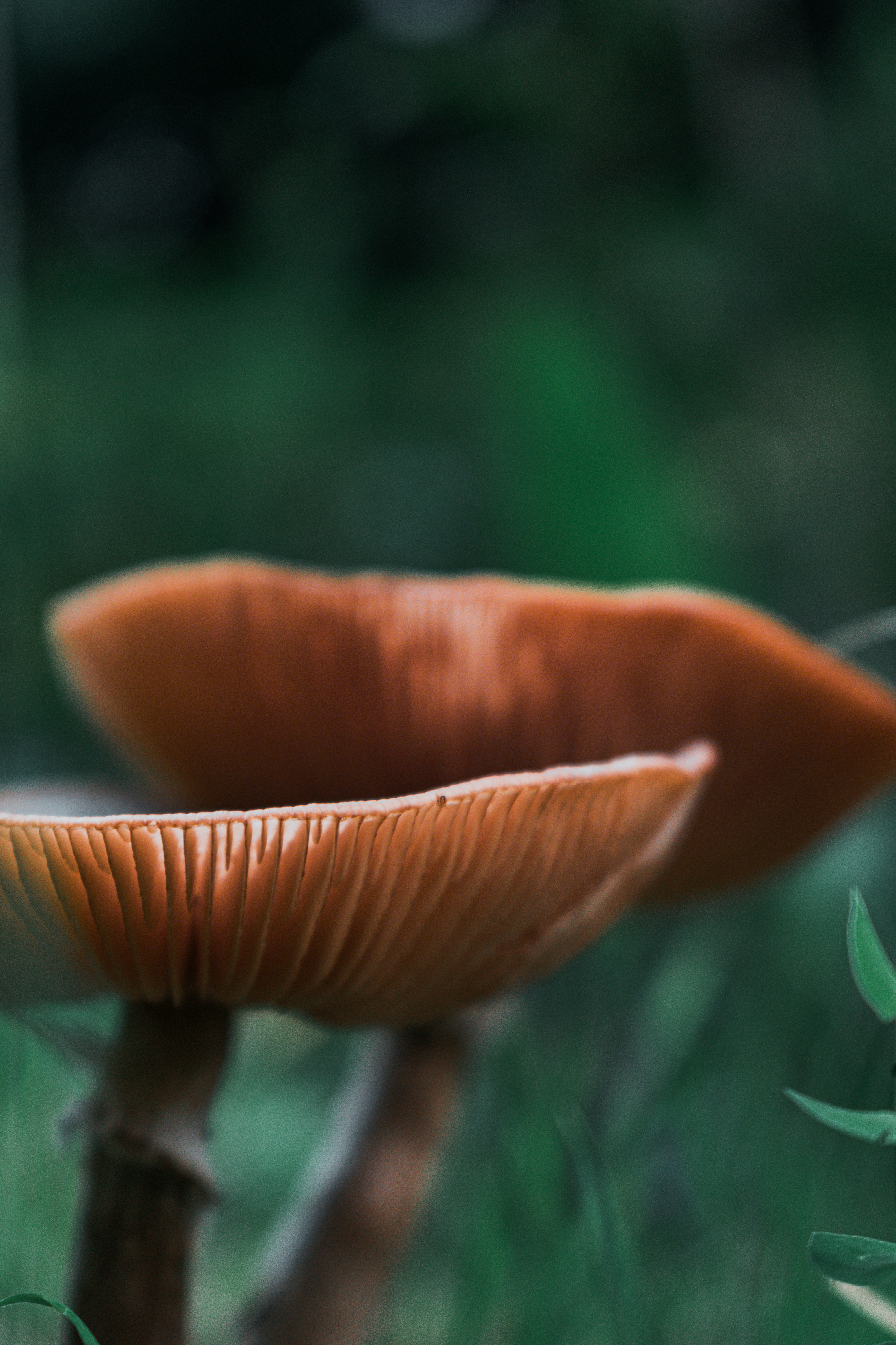 Photo by vadym_alyekseyenko