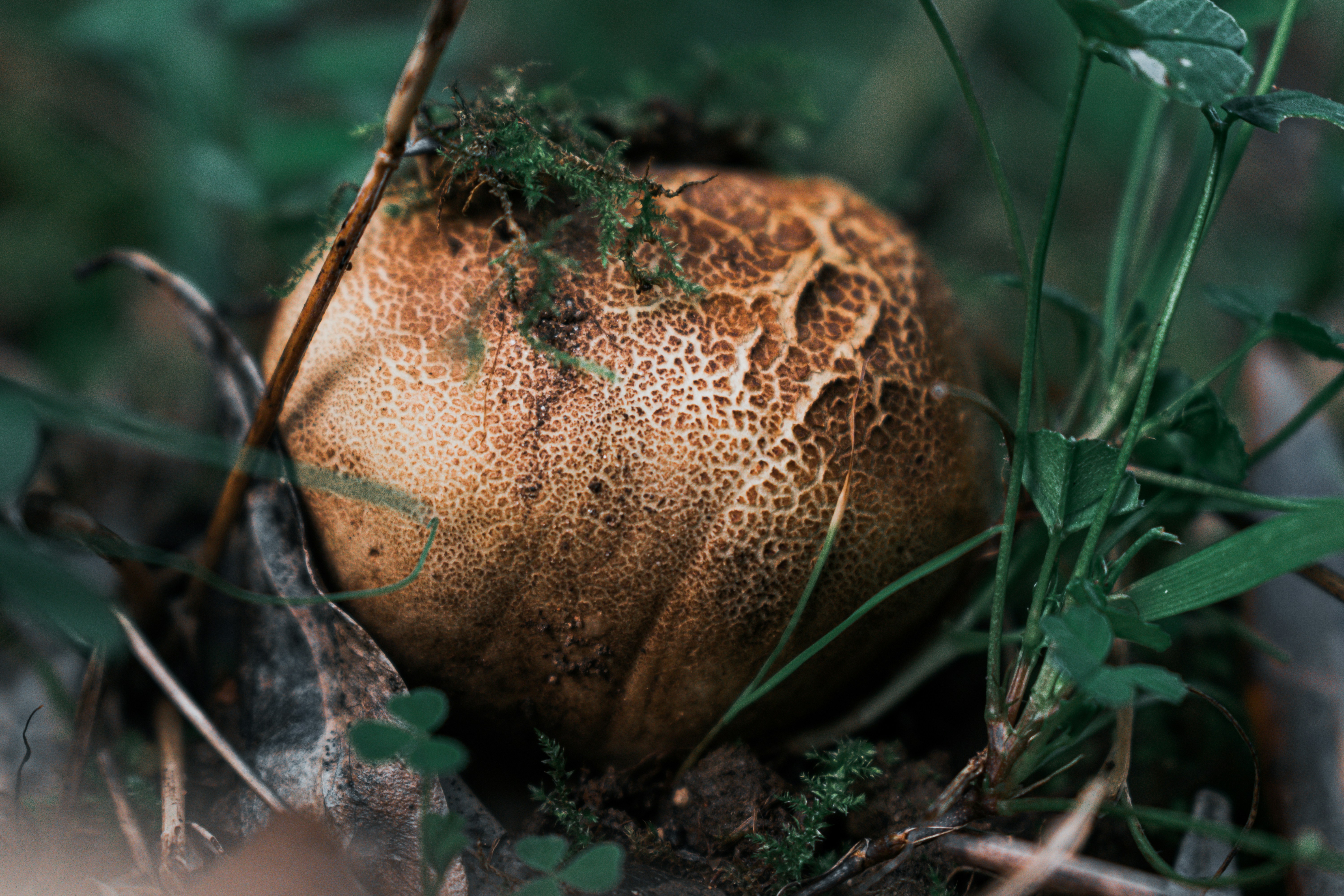 Photo by vadym_alyekseyenko