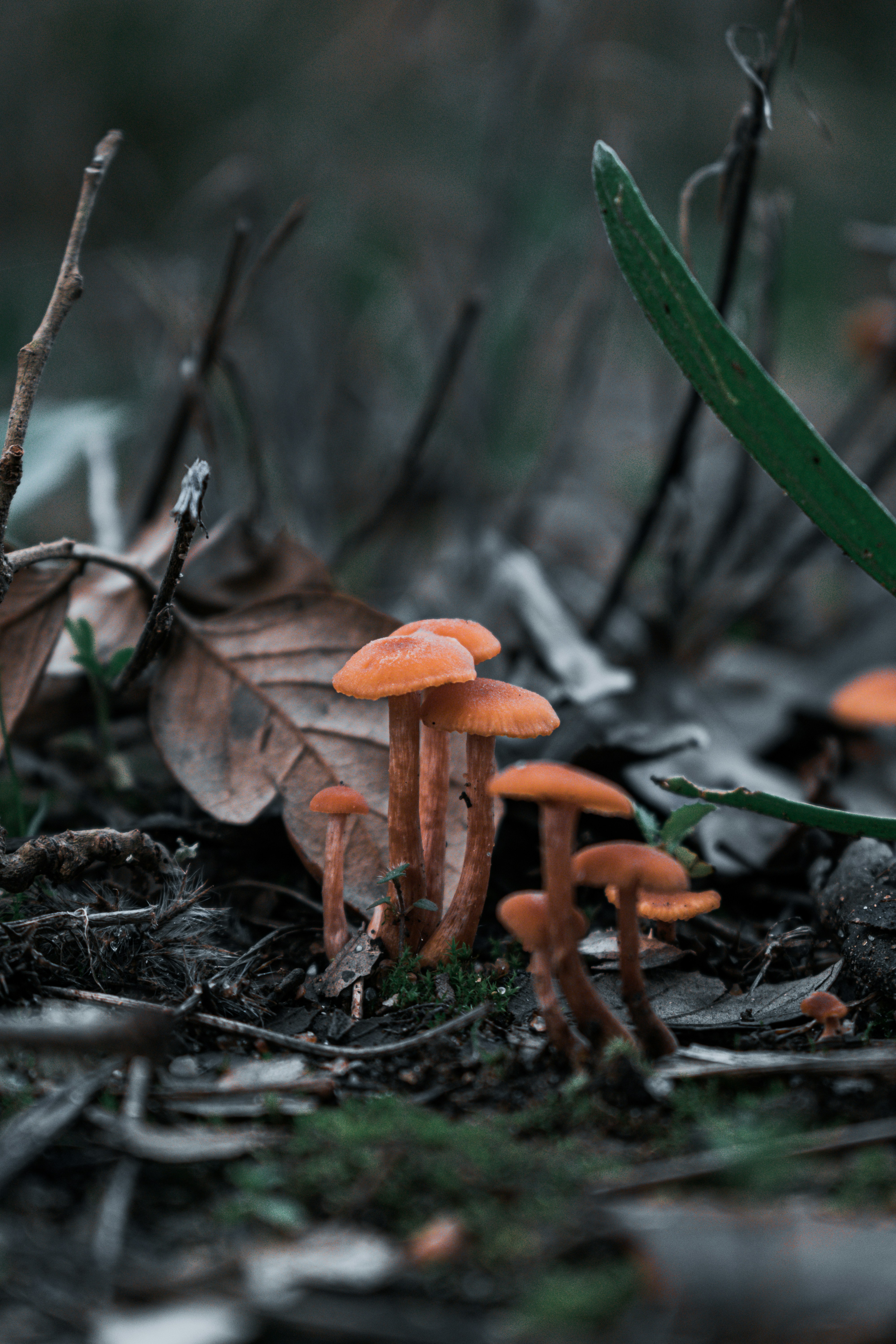 Photo by vadym_alyekseyenko