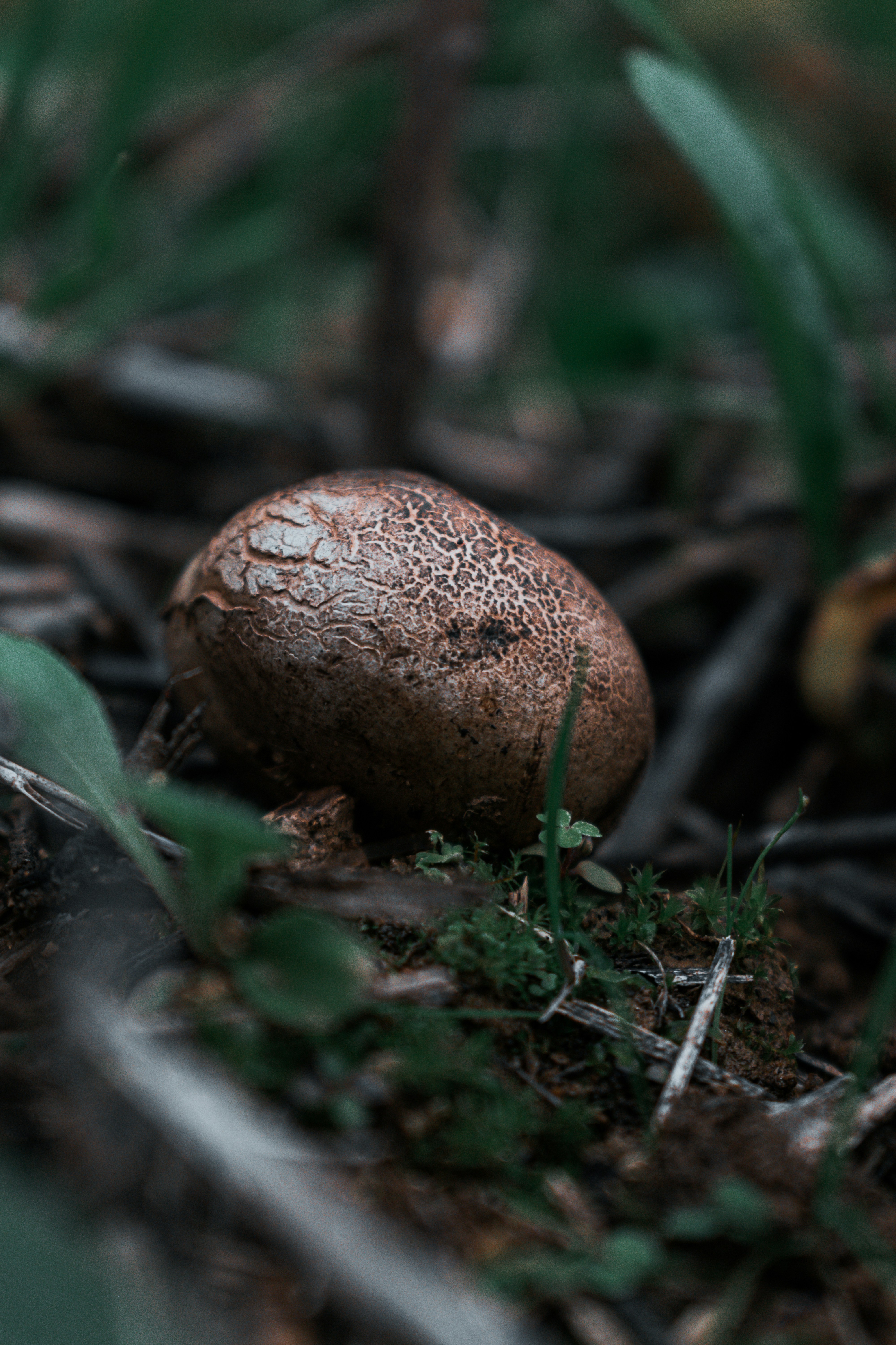 Photo by vadym_alyekseyenko