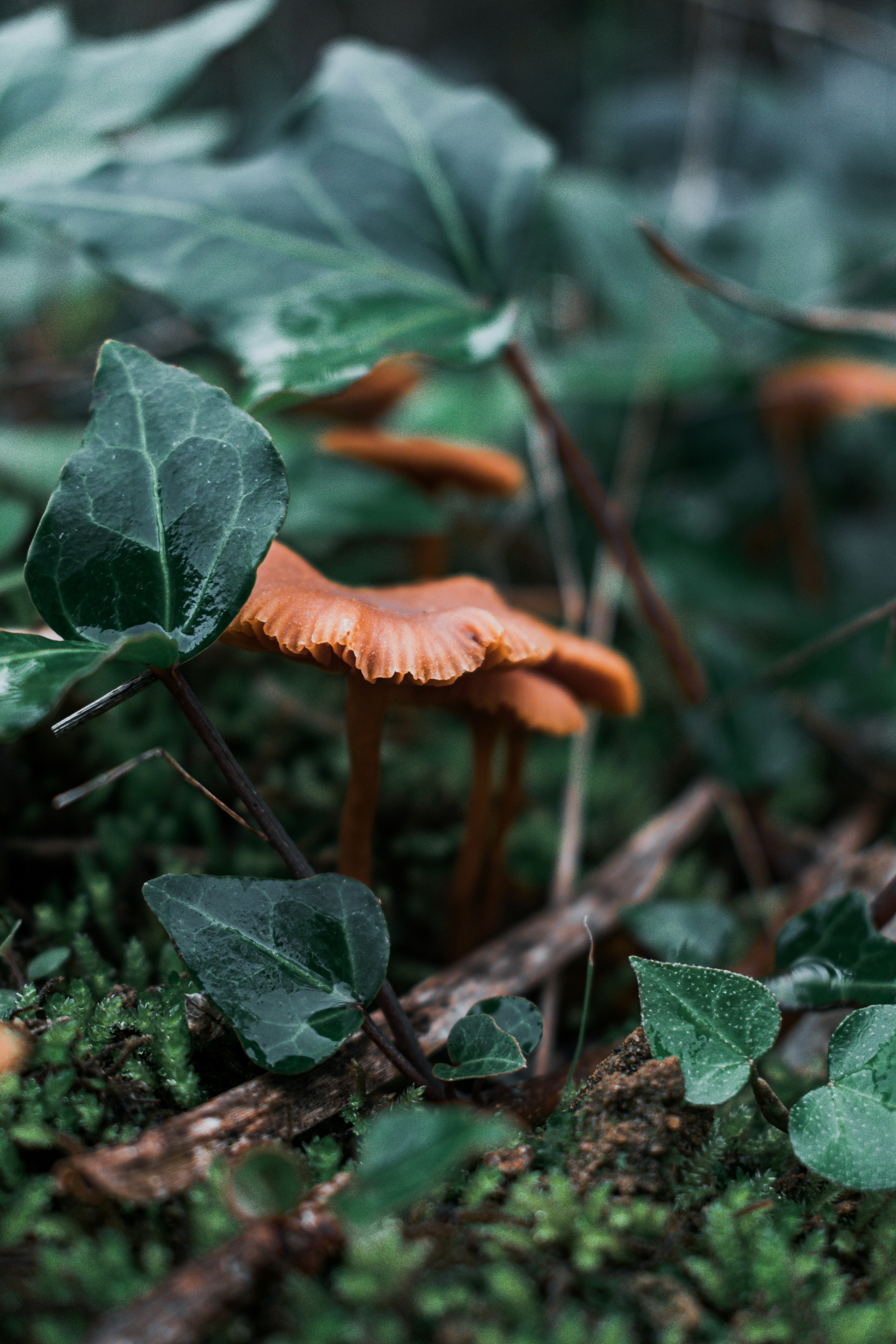 Photo by vadym_alyekseyenko