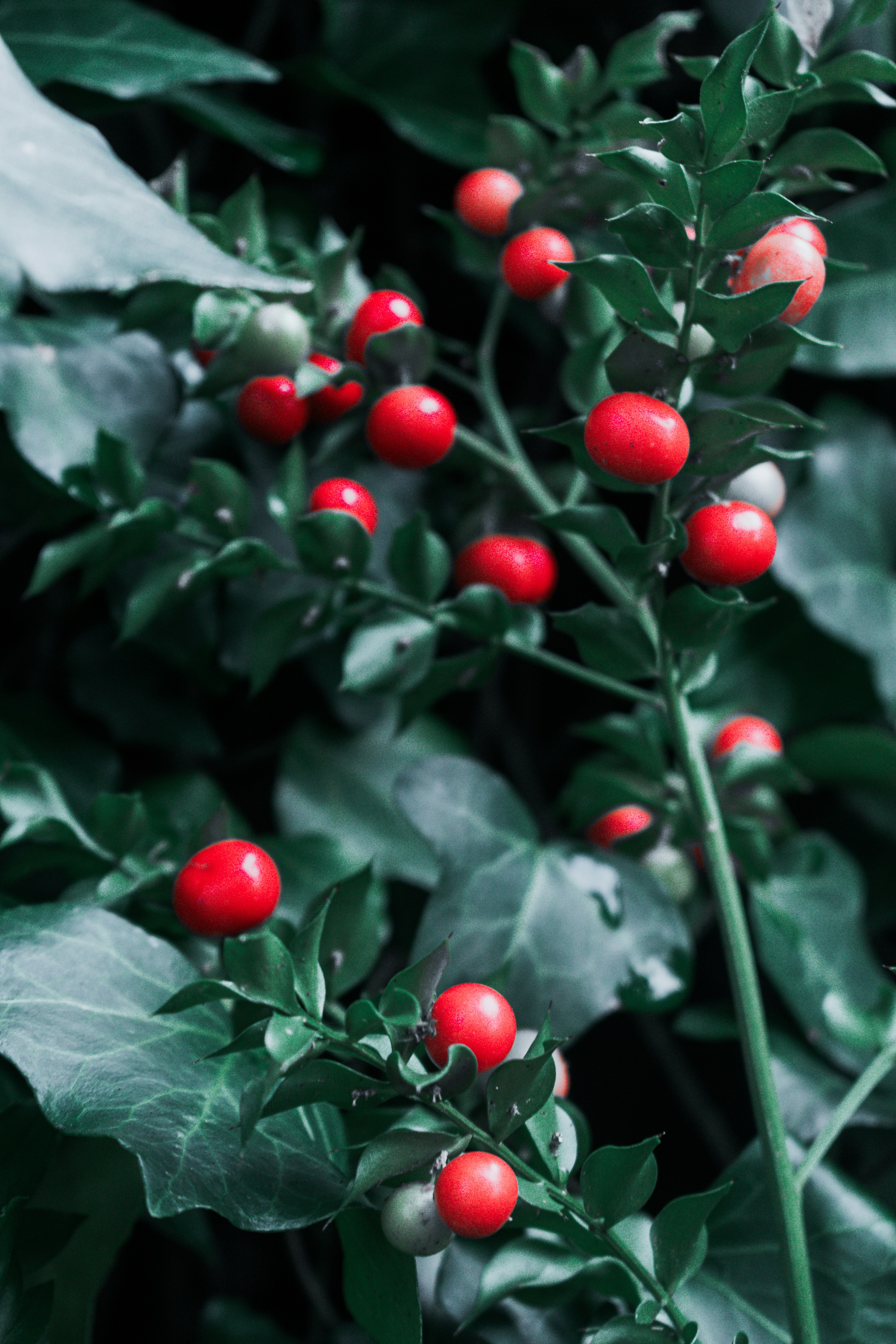 Photo by vadym_alyekseyenko