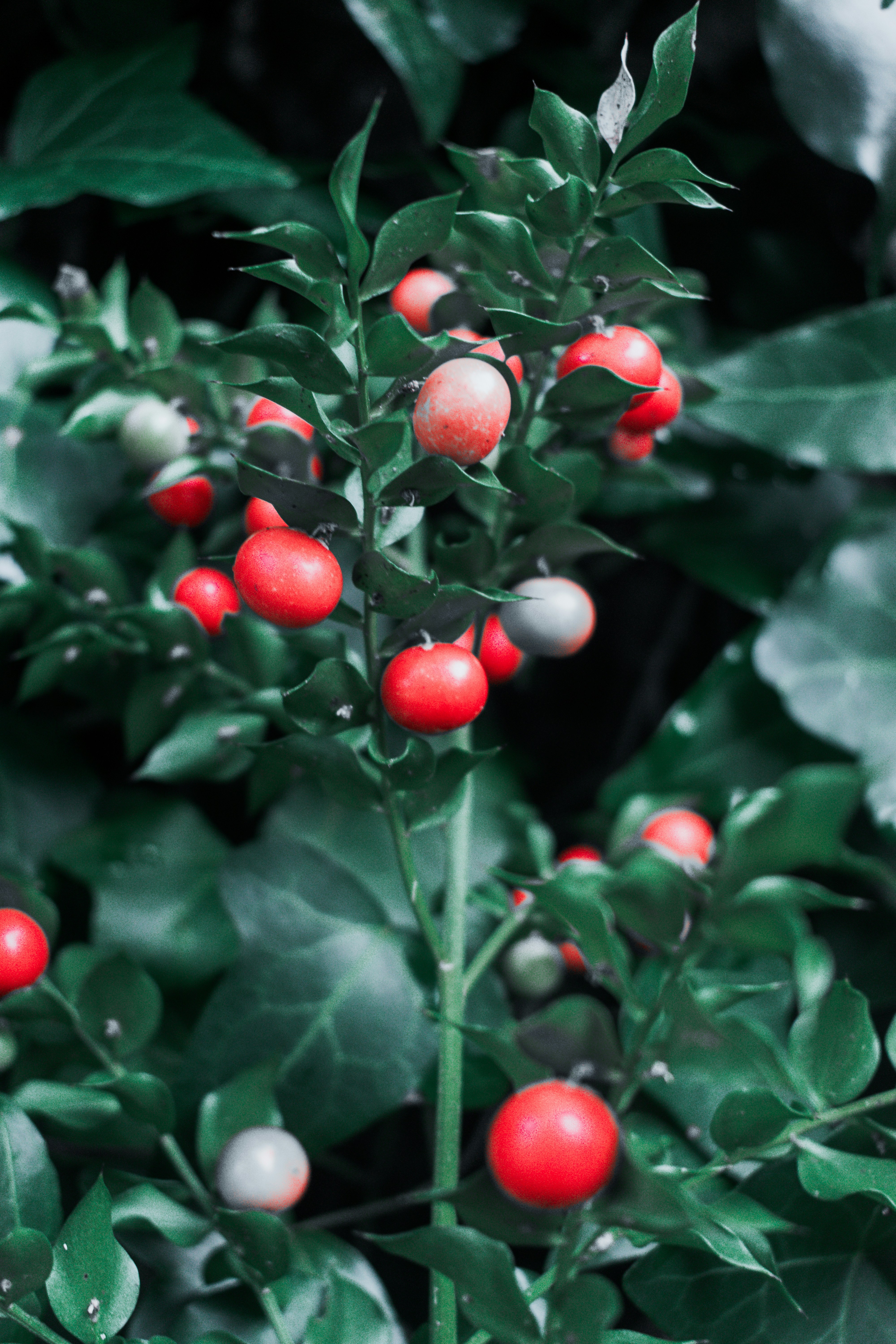 Photo by vadym_alyekseyenko