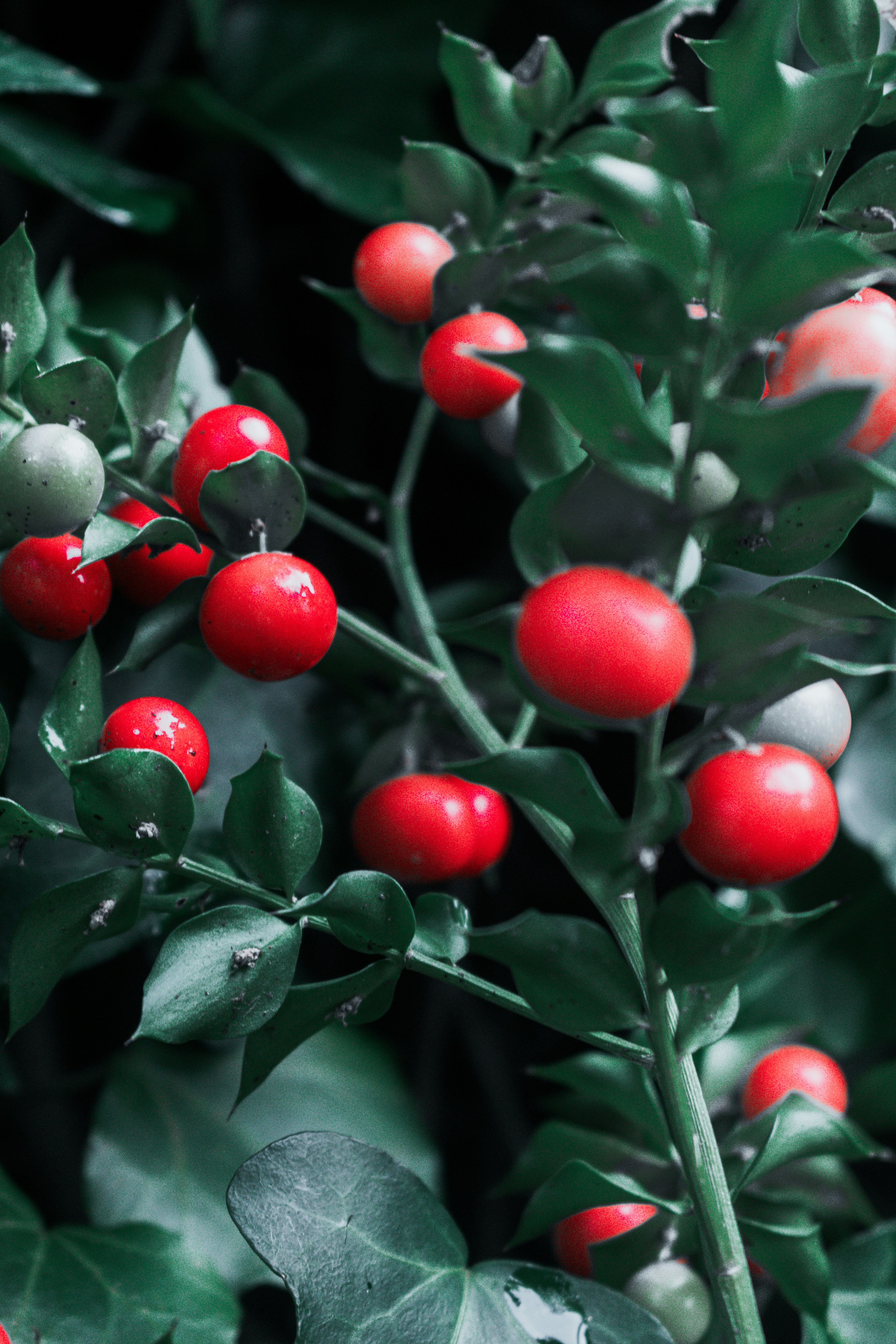 Photo by vadym_alyekseyenko