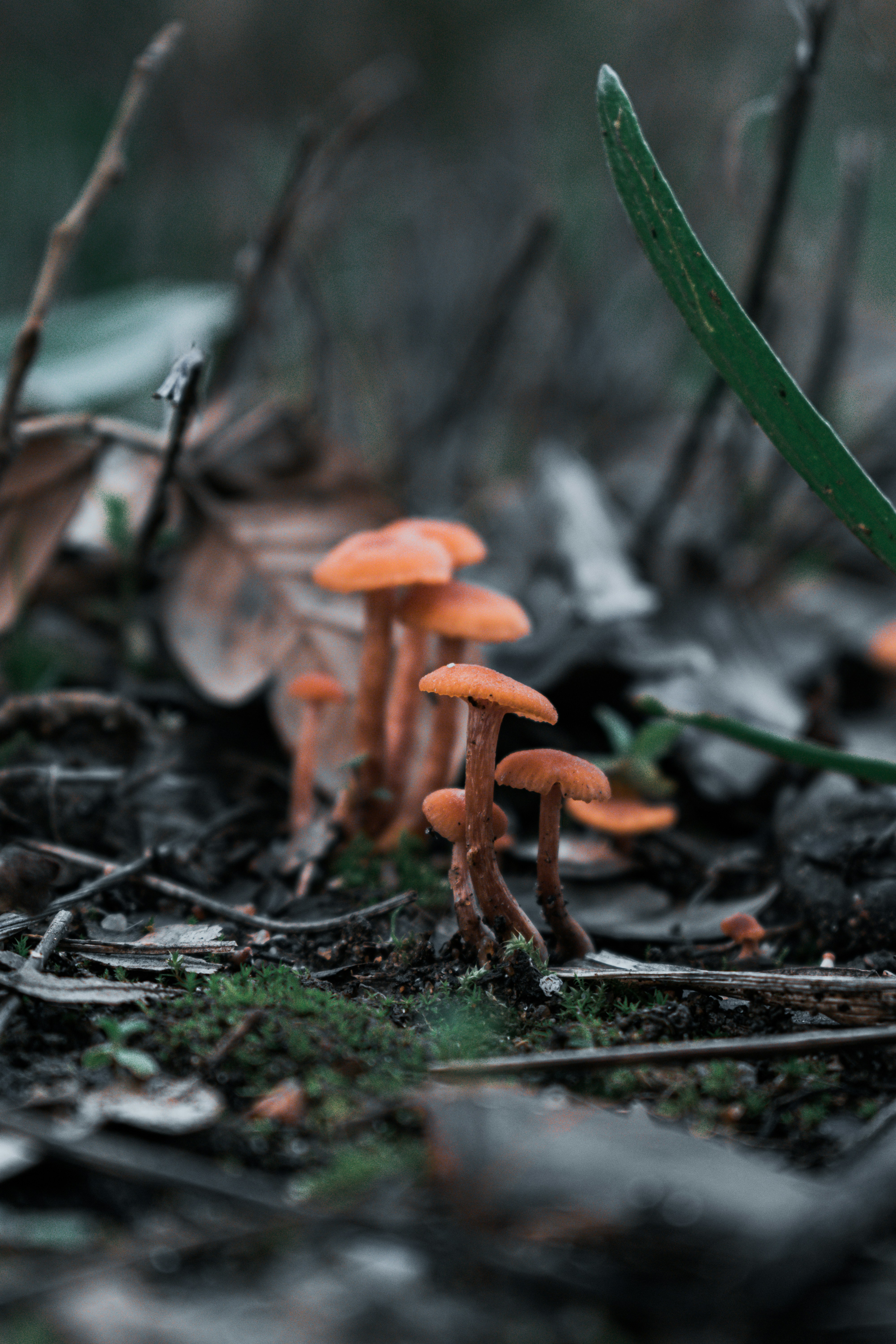 Photo by vadym_alyekseyenko