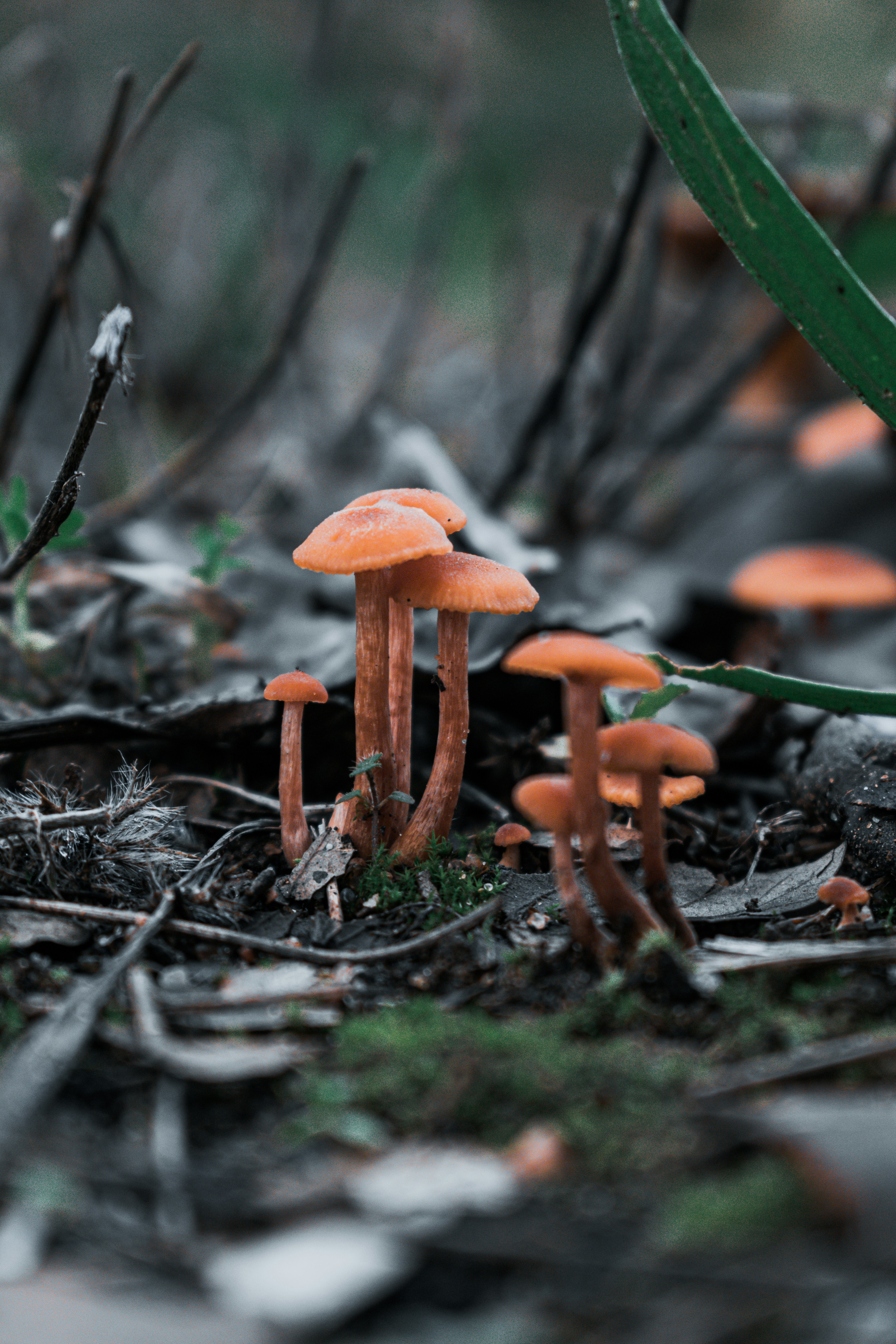 Photo by vadym_alyekseyenko