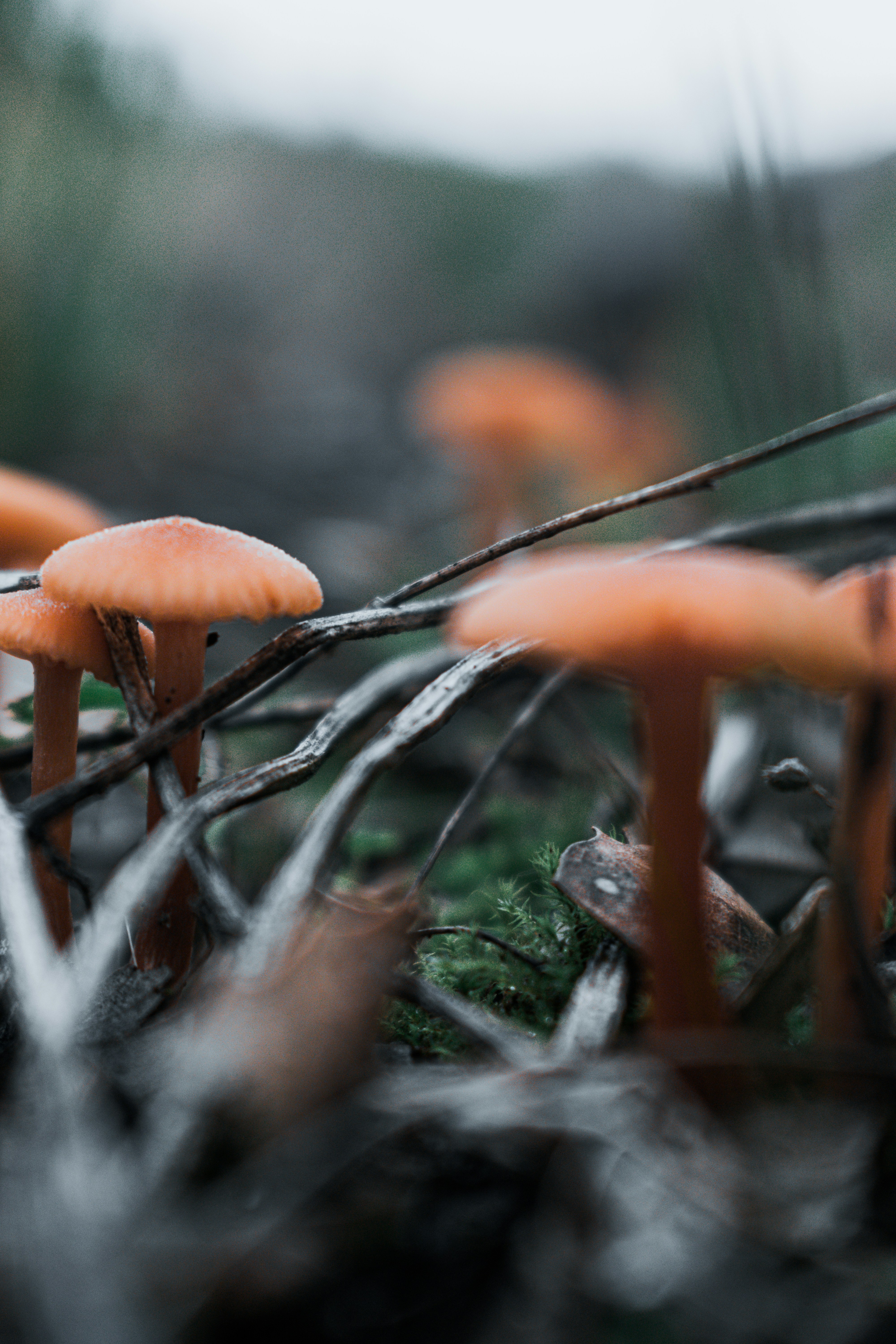 Photo by vadym_alyekseyenko