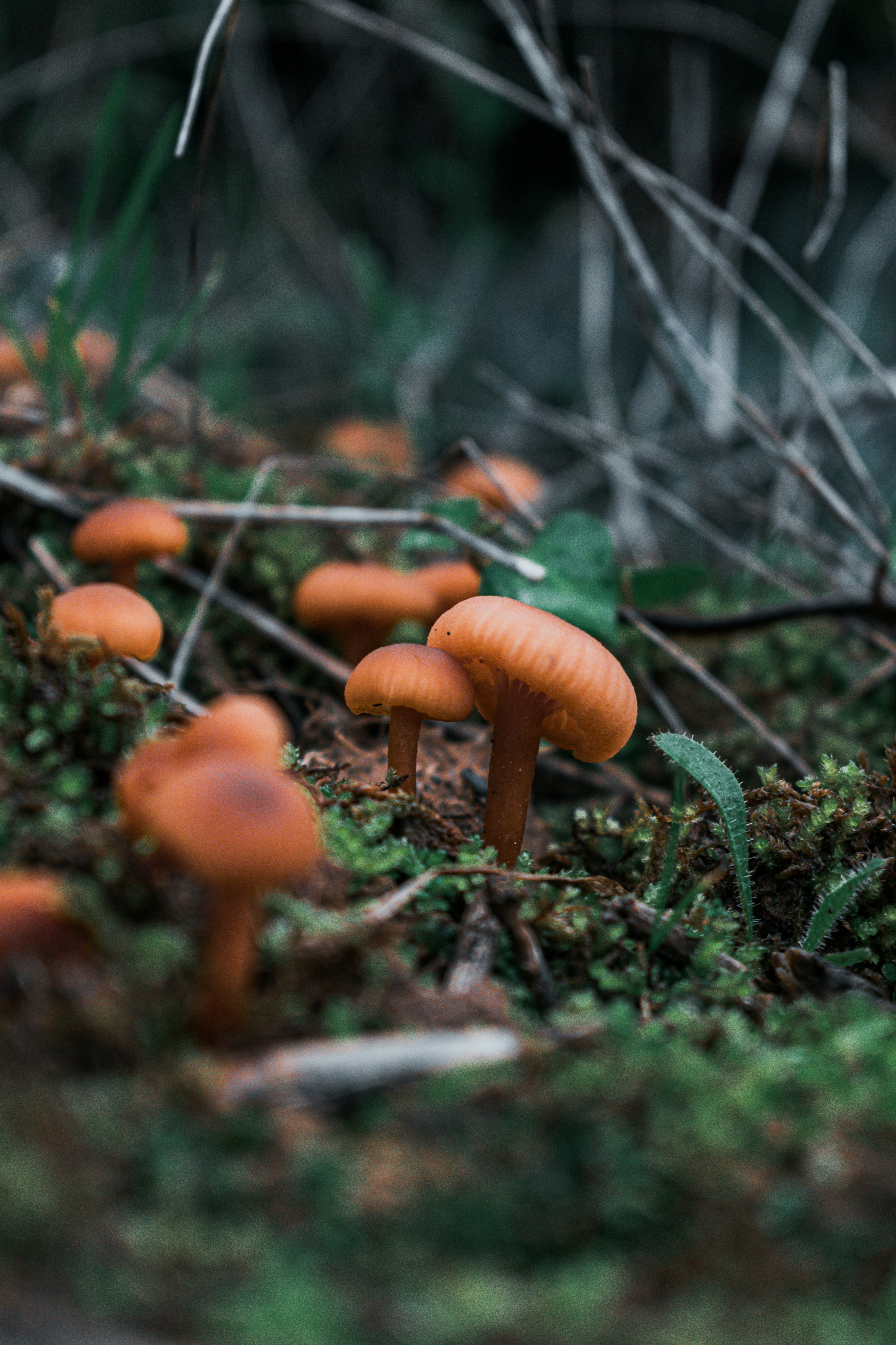 Photo by vadym_alyekseyenko