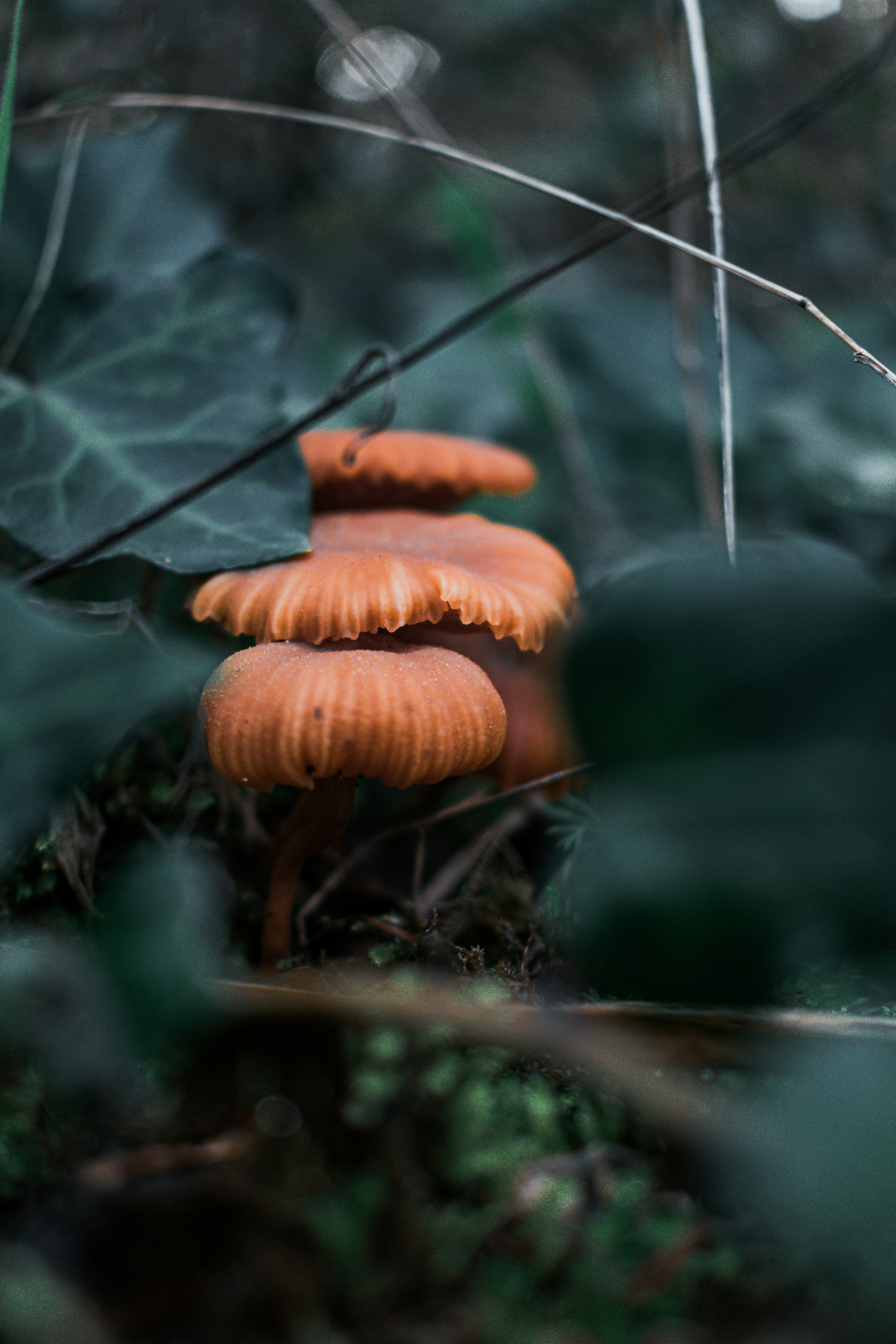 Photo by vadym_alyekseyenko