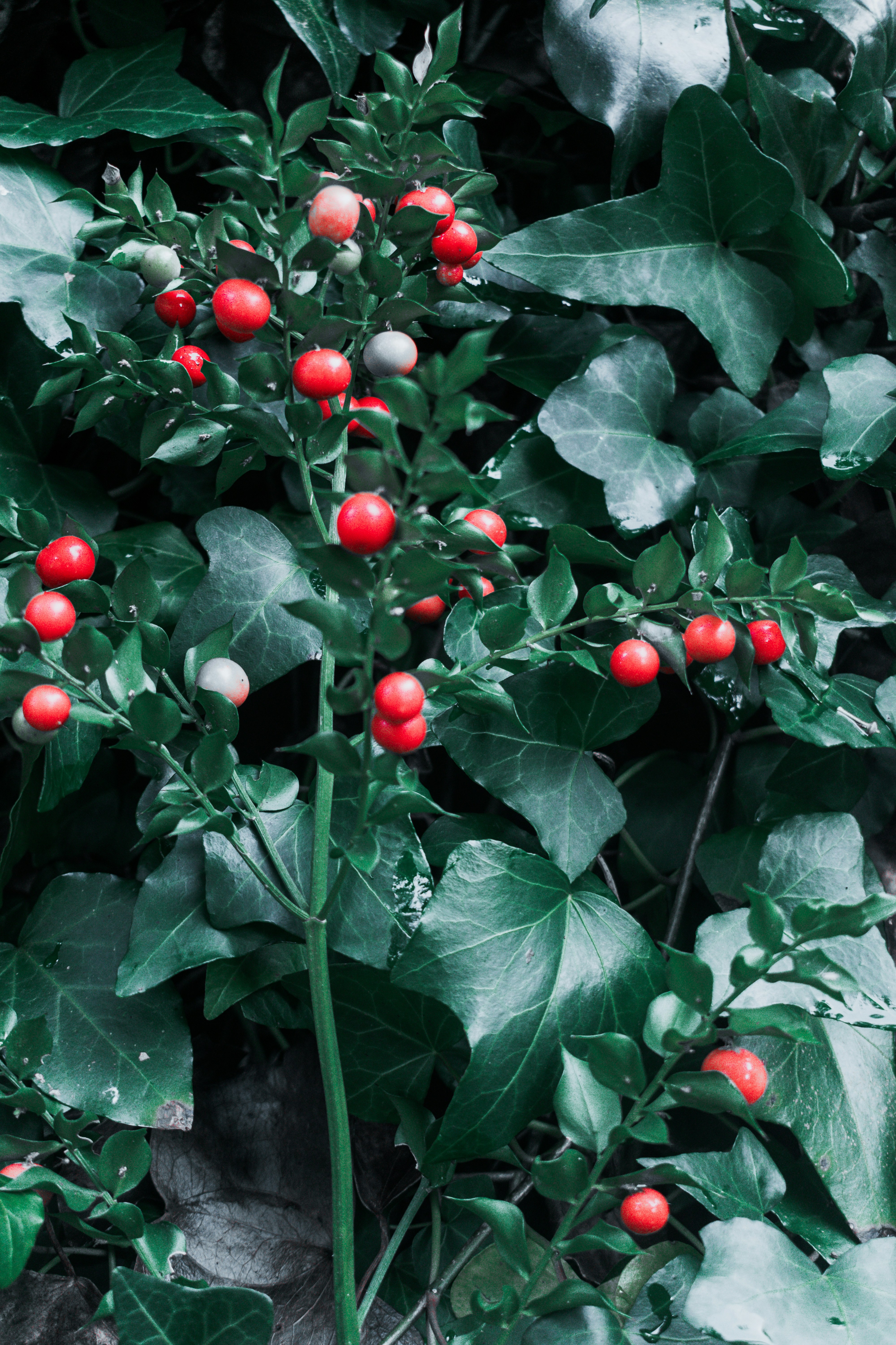 Photo by vadym_alyekseyenko