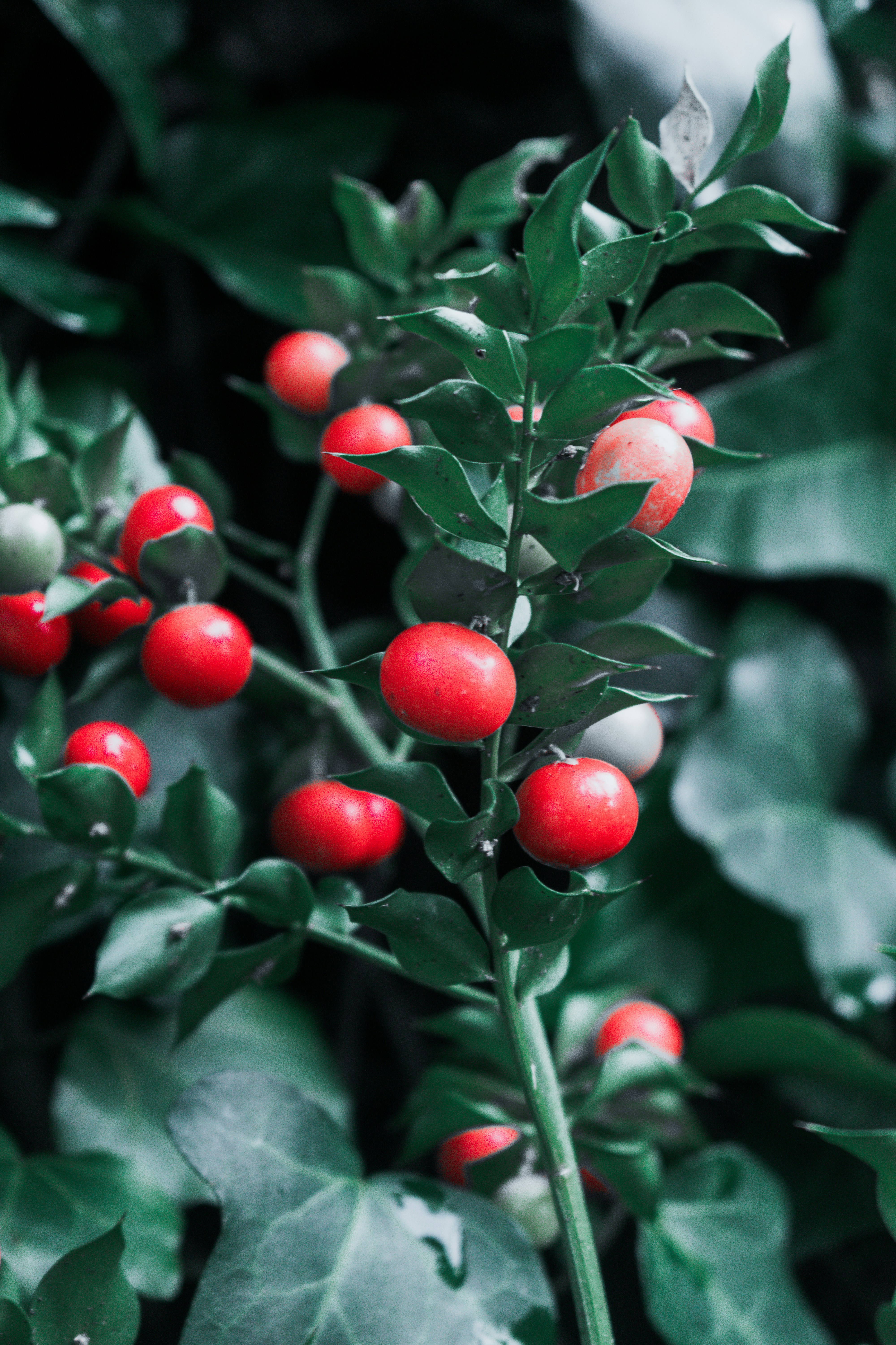 Photo by vadym_alyekseyenko