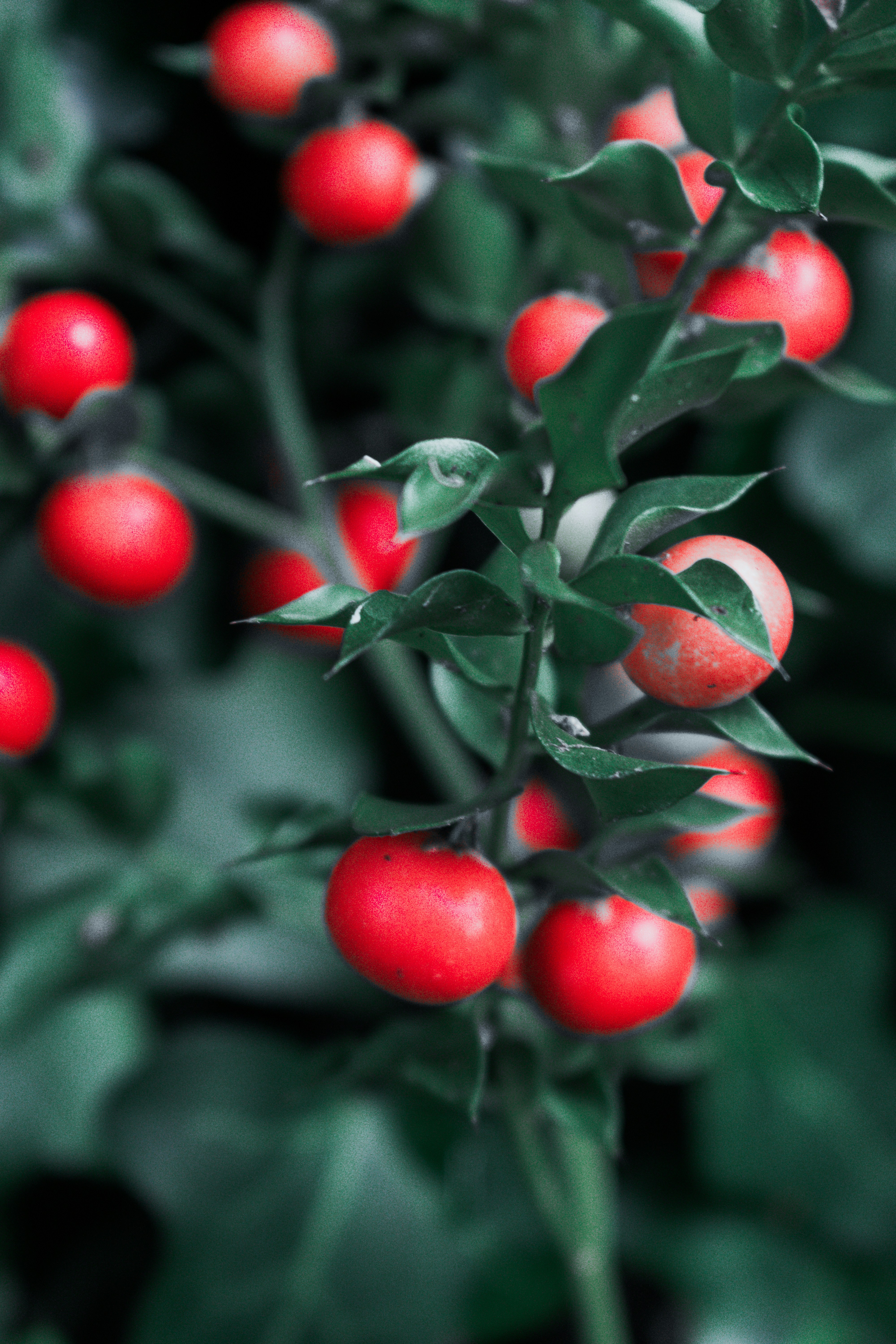 Photo by vadym_alyekseyenko