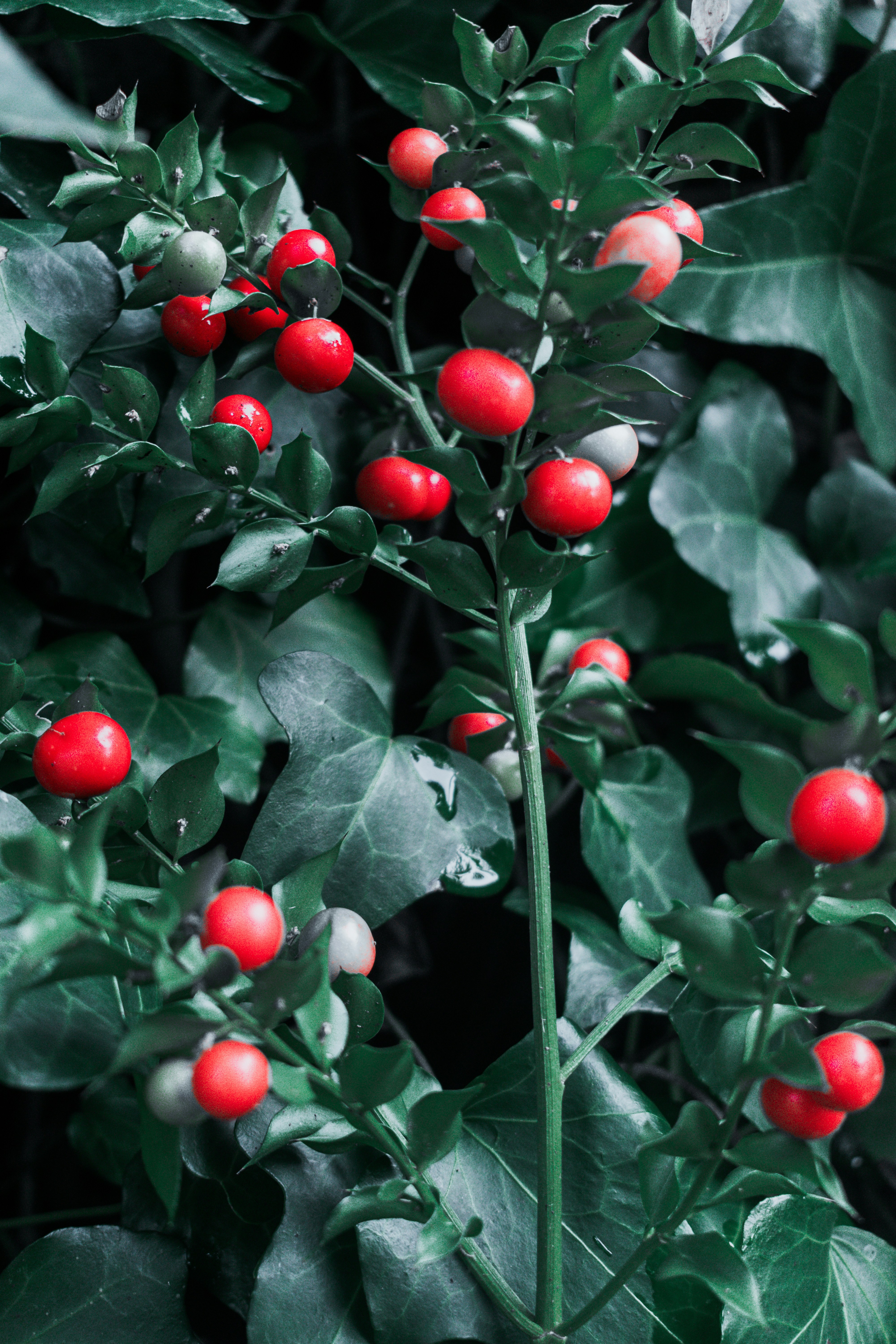 Photo by vadym_alyekseyenko