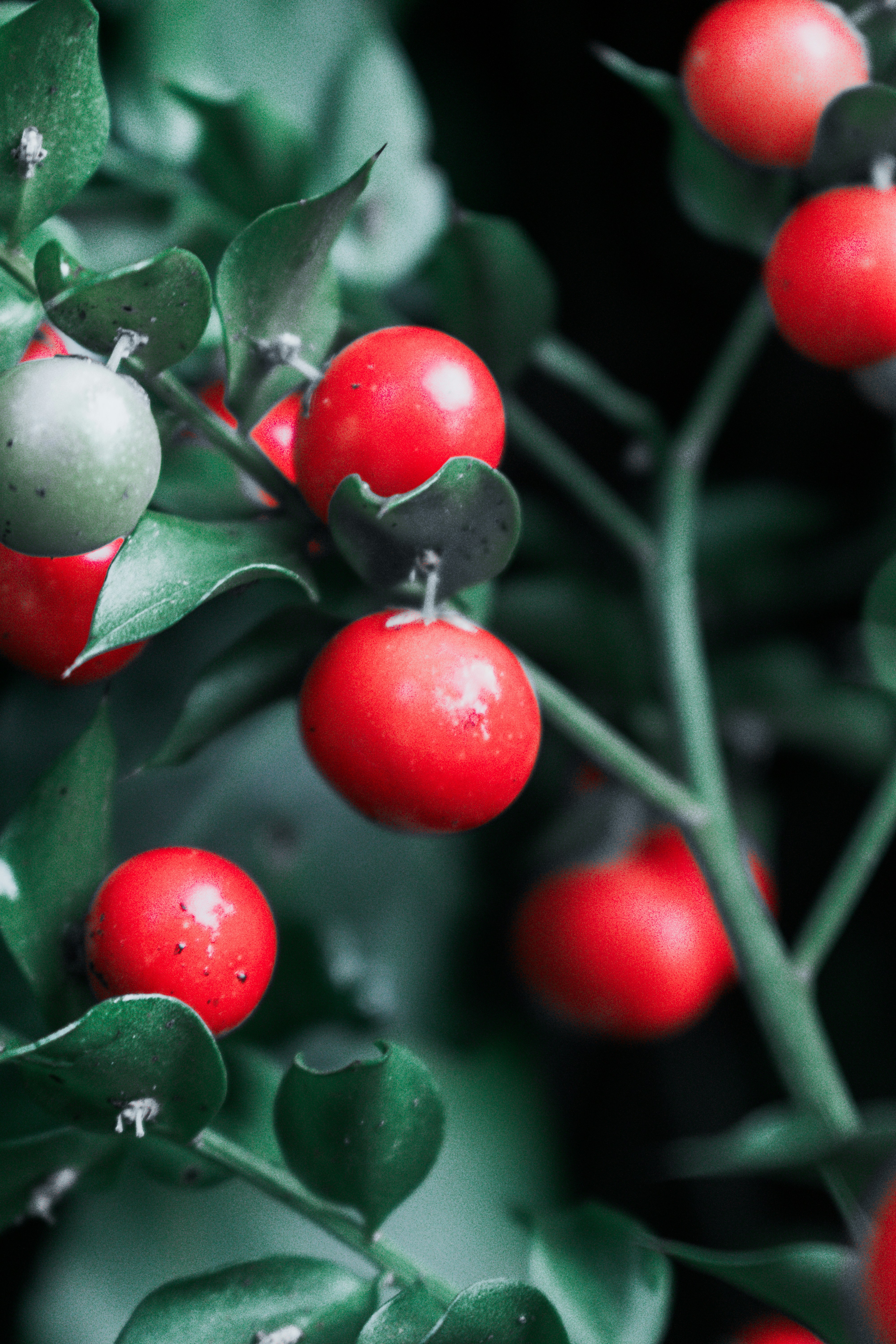 Photo by vadym_alyekseyenko