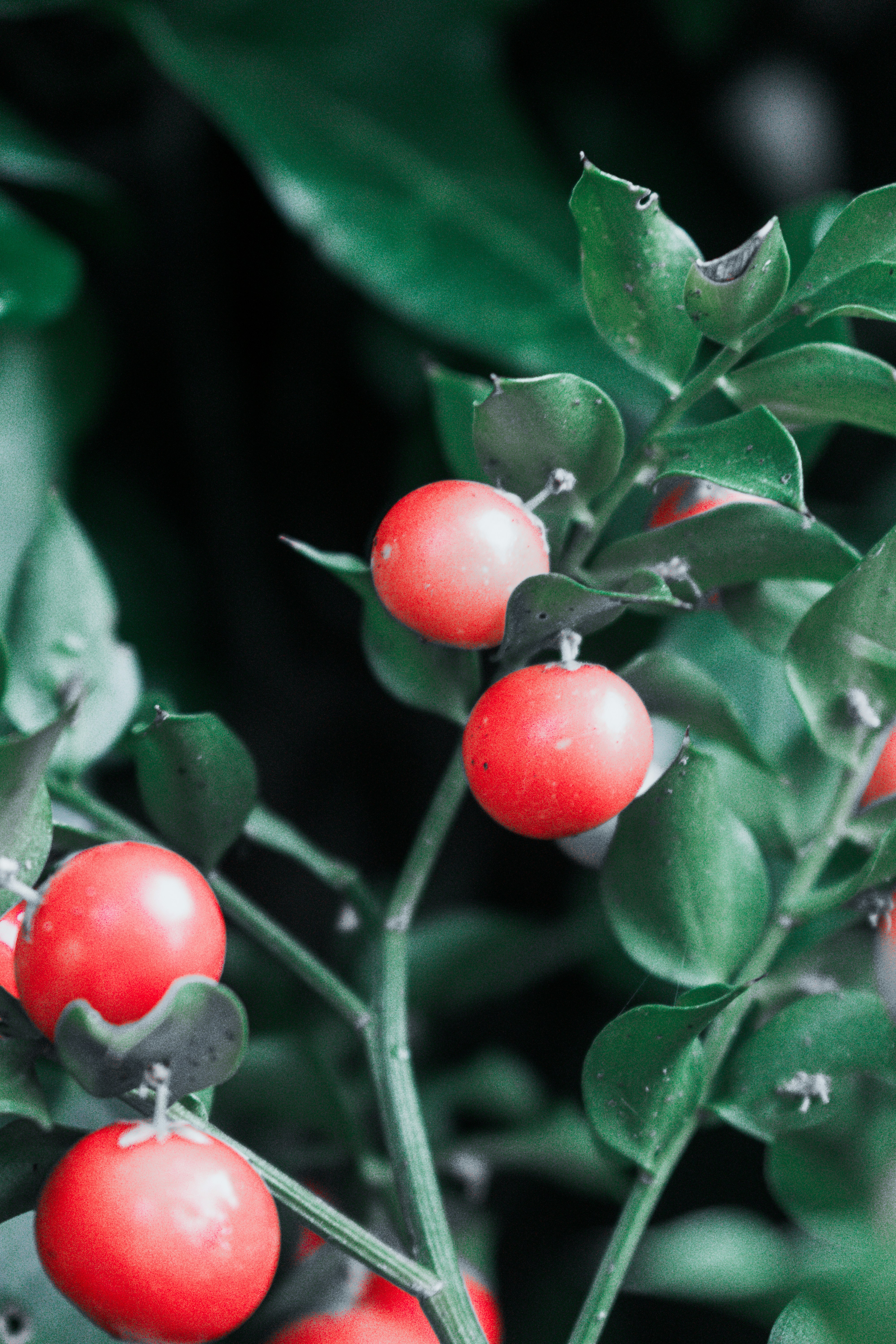 Photo by vadym_alyekseyenko