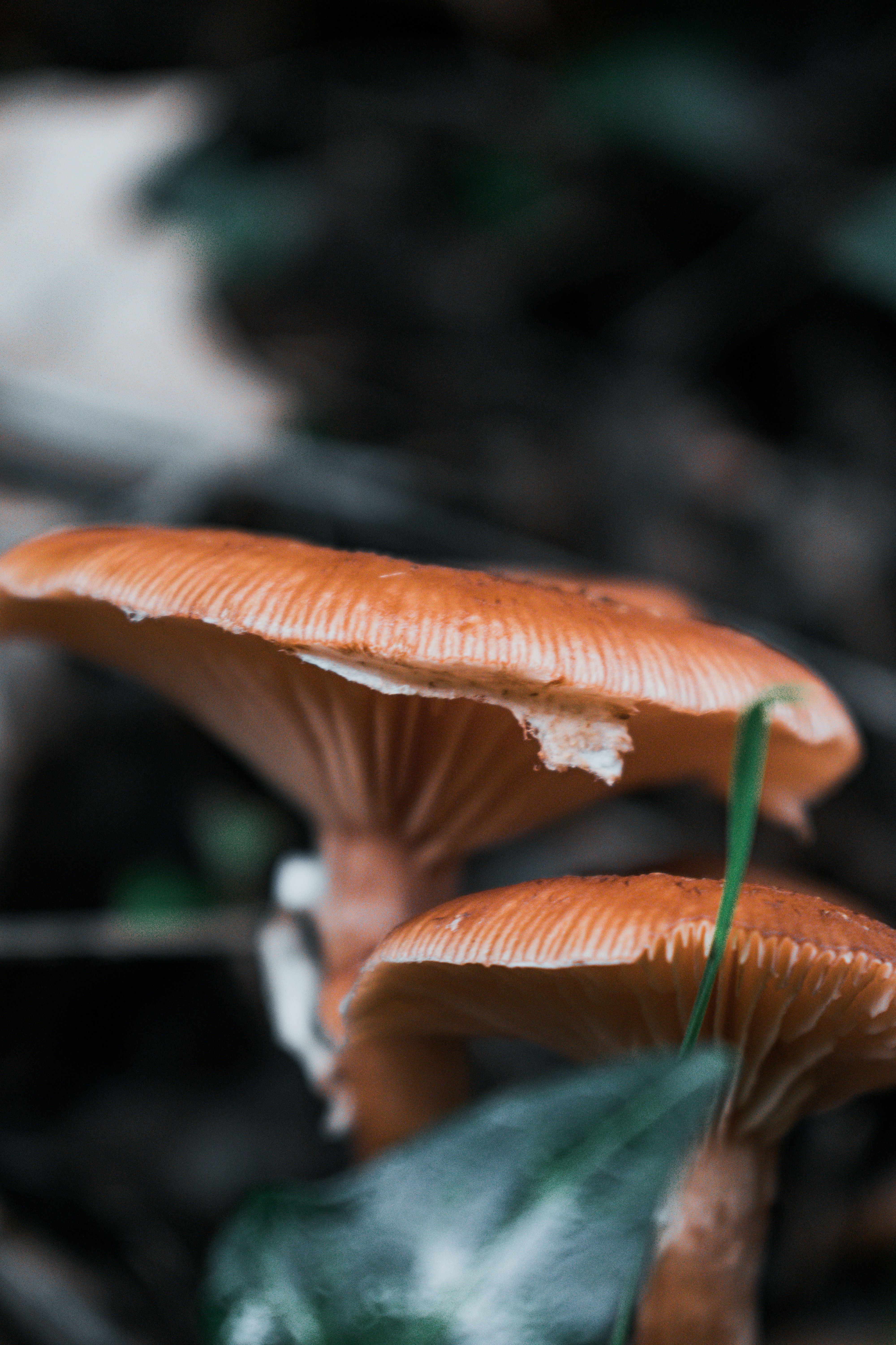 Photo by vadym_alyekseyenko