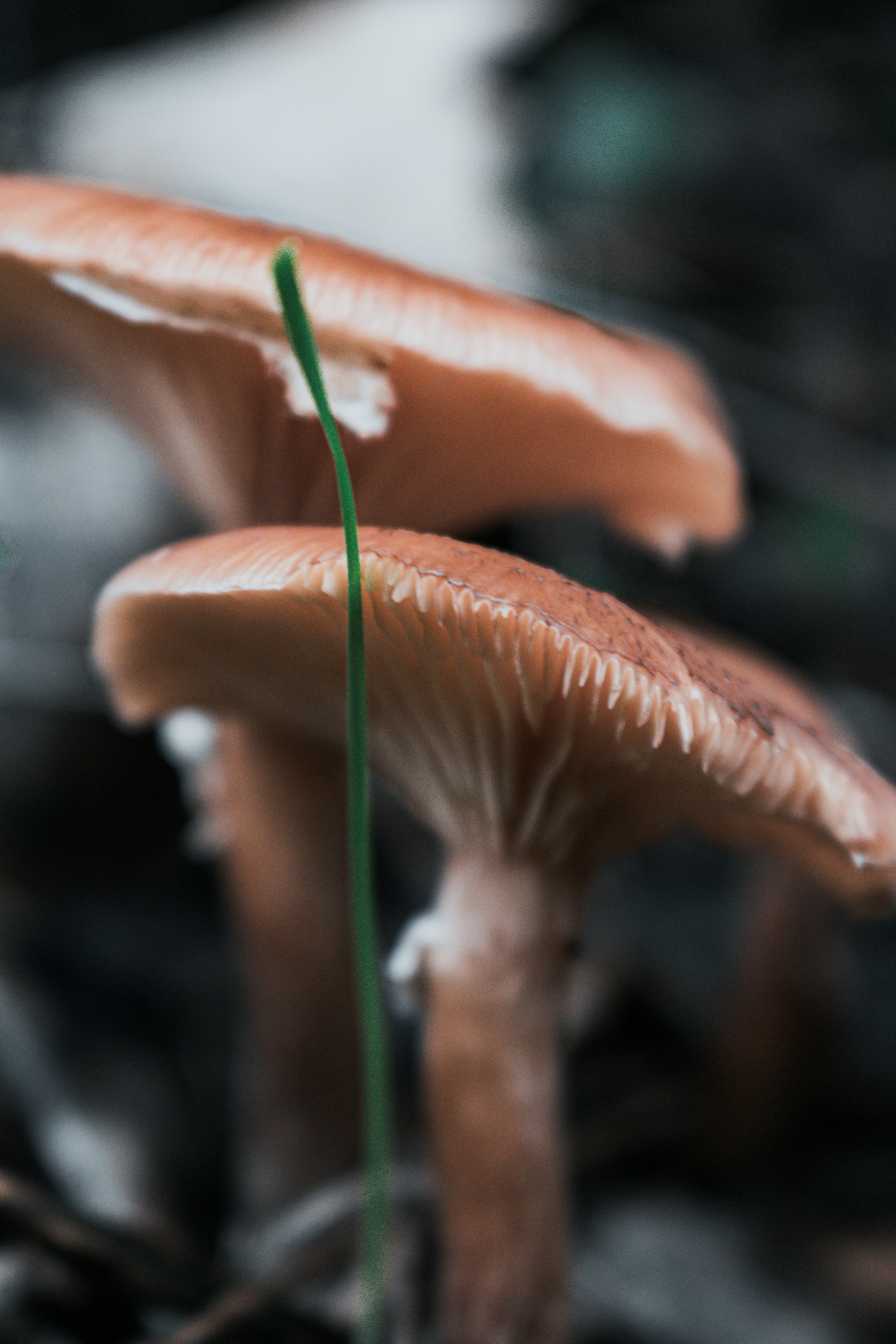 Photo by vadym_alyekseyenko