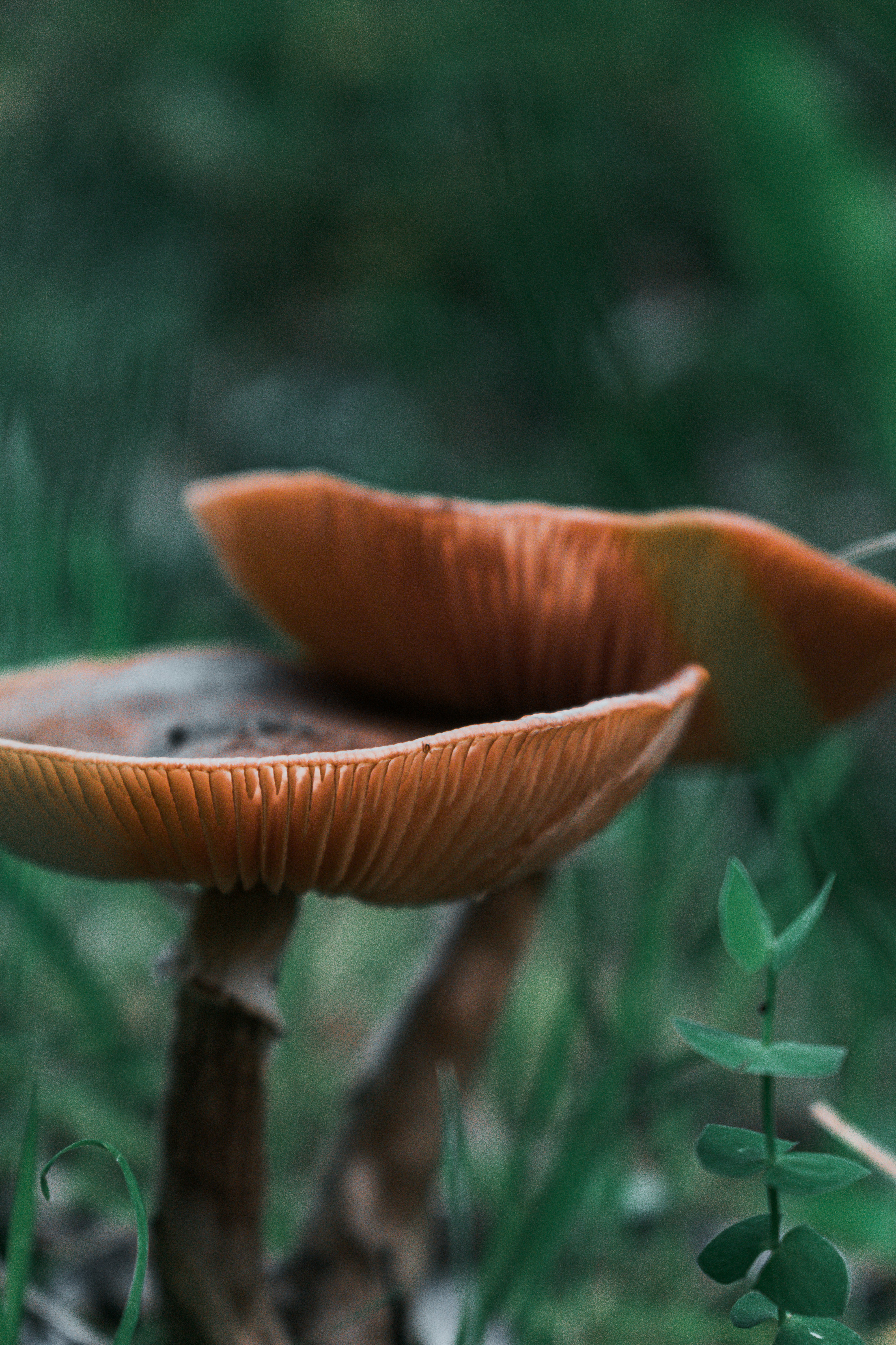 Photo by vadym_alyekseyenko