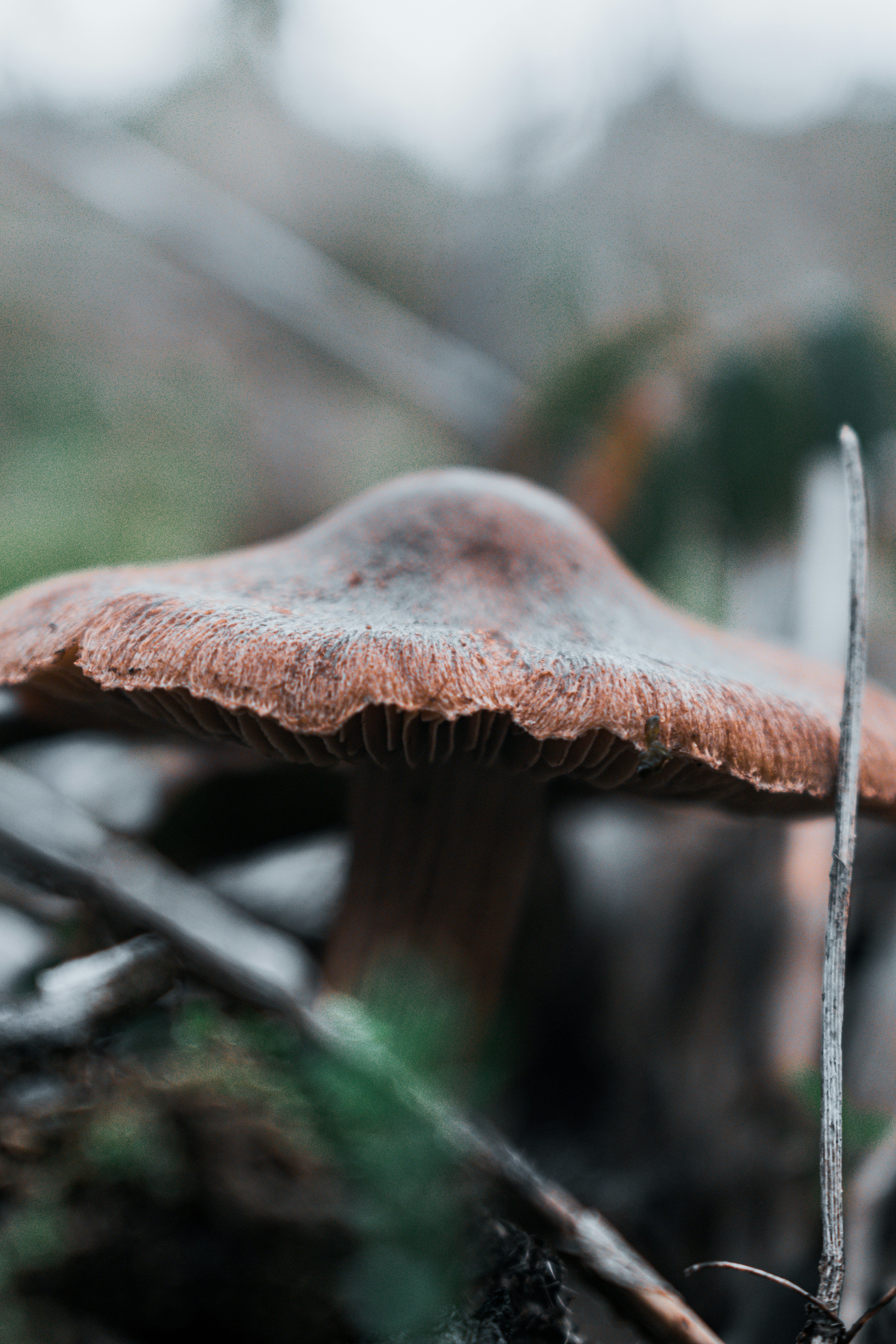 Photo by vadym_alyekseyenko