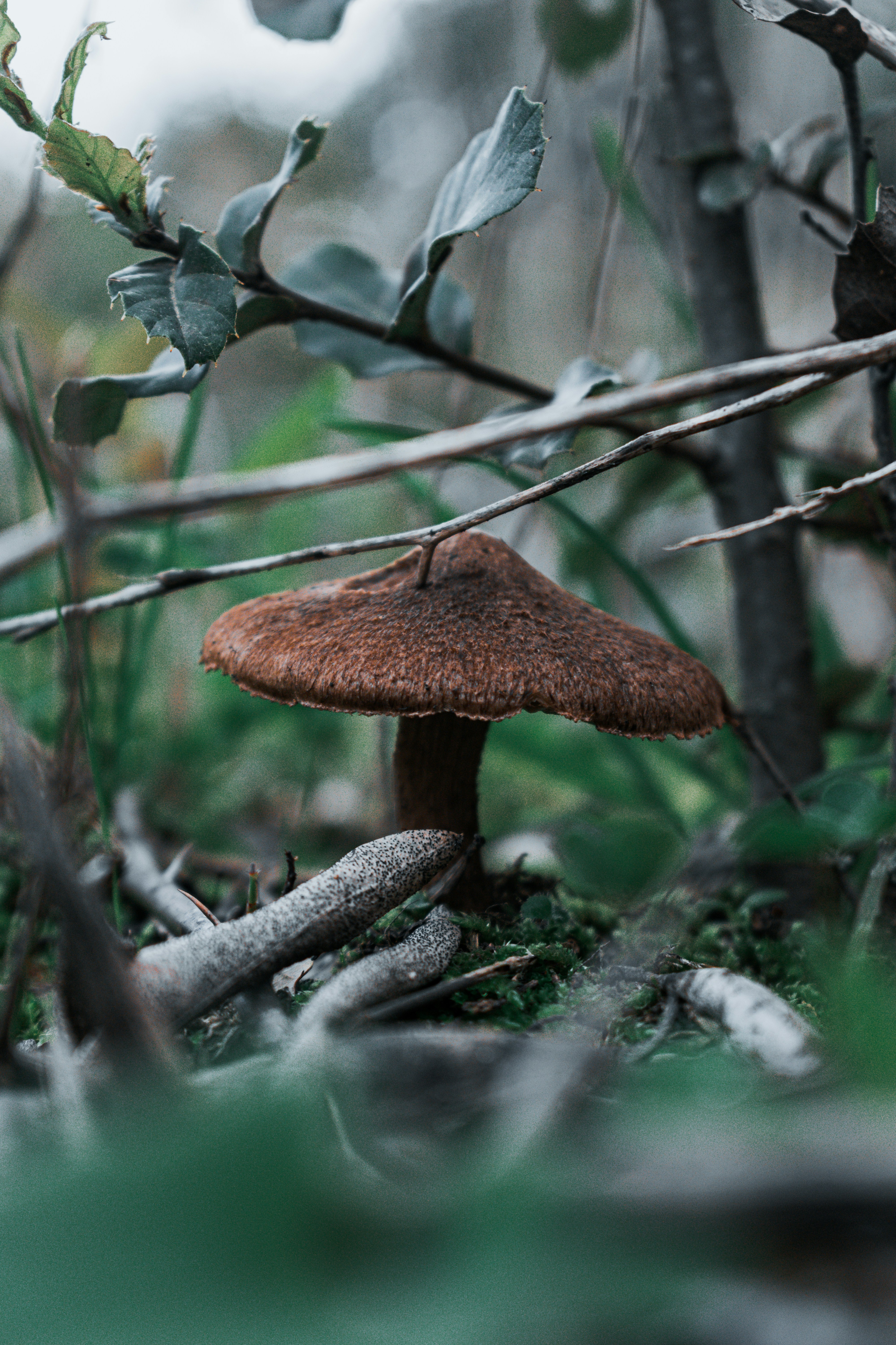Photo by vadym_alyekseyenko