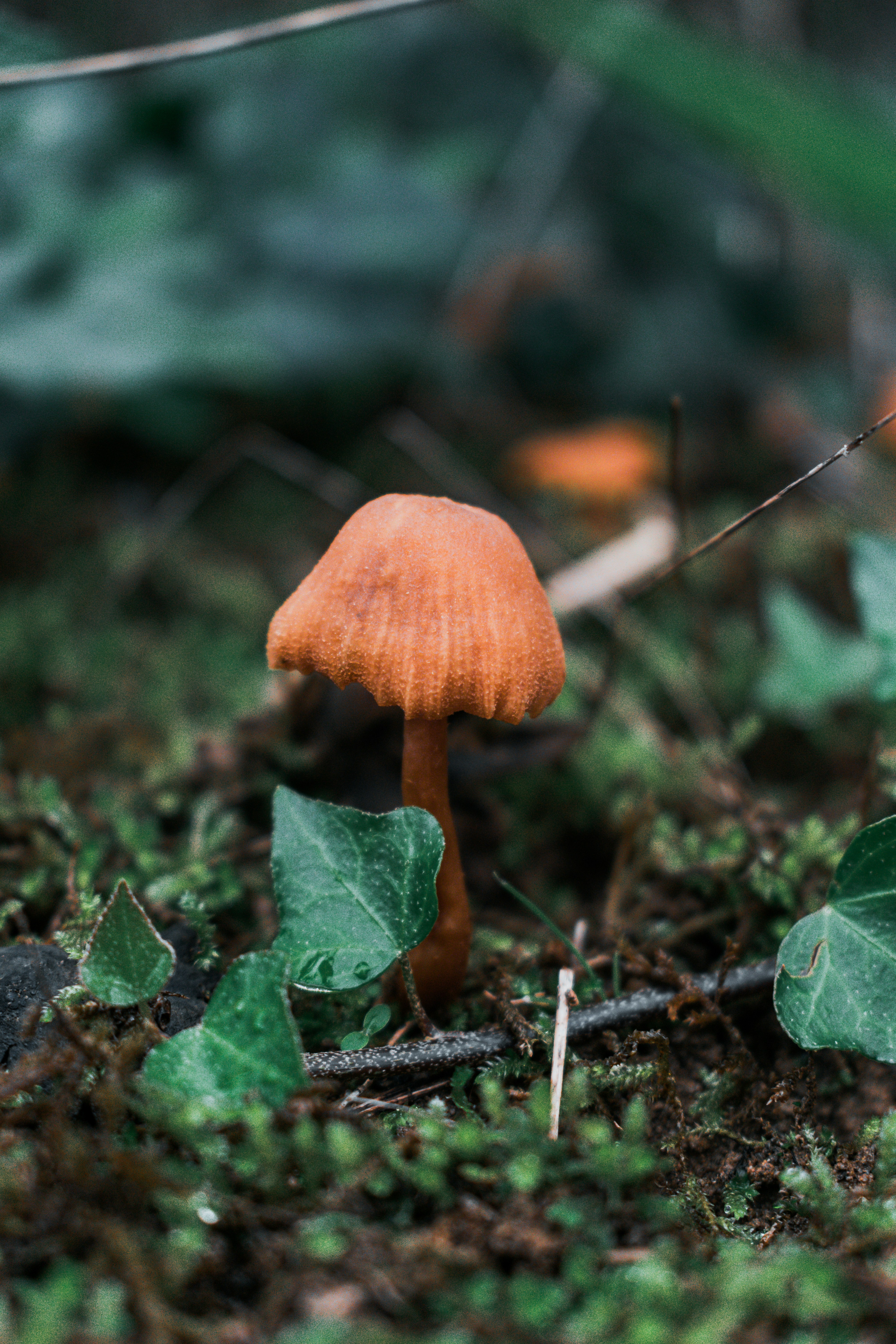 Photo by vadym_alyekseyenko