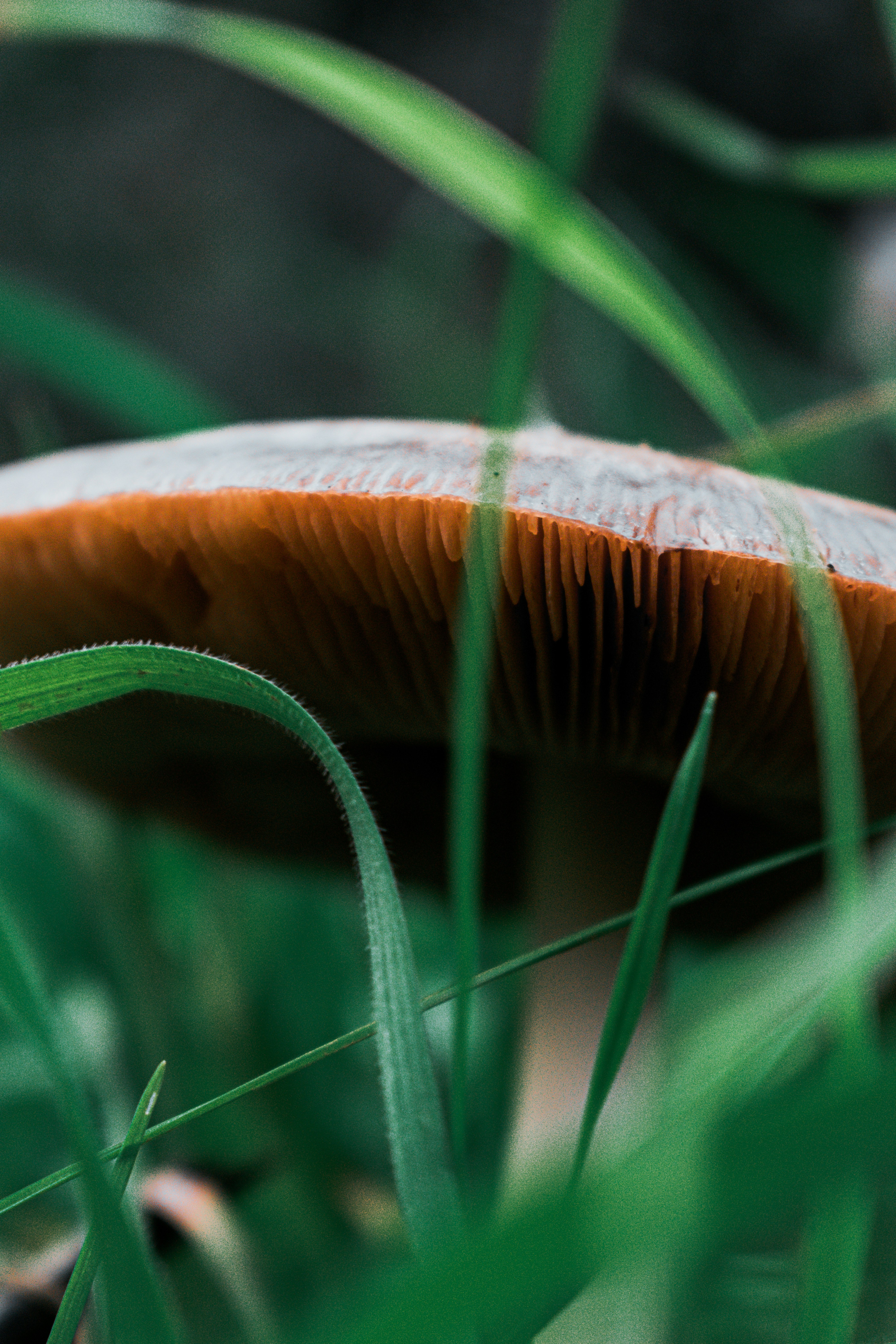 Photo by vadym_alyekseyenko