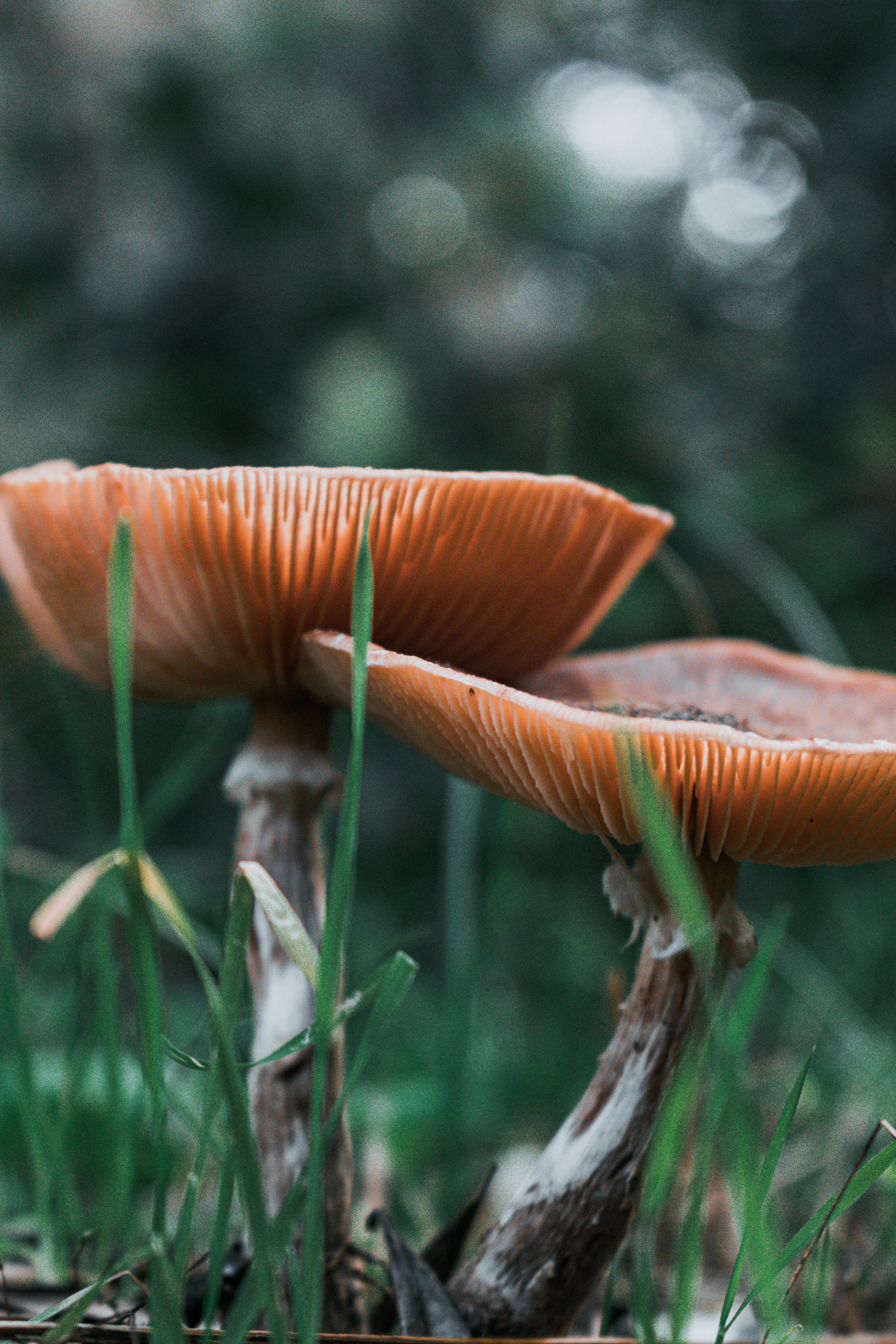 Photo by vadym_alyekseyenko