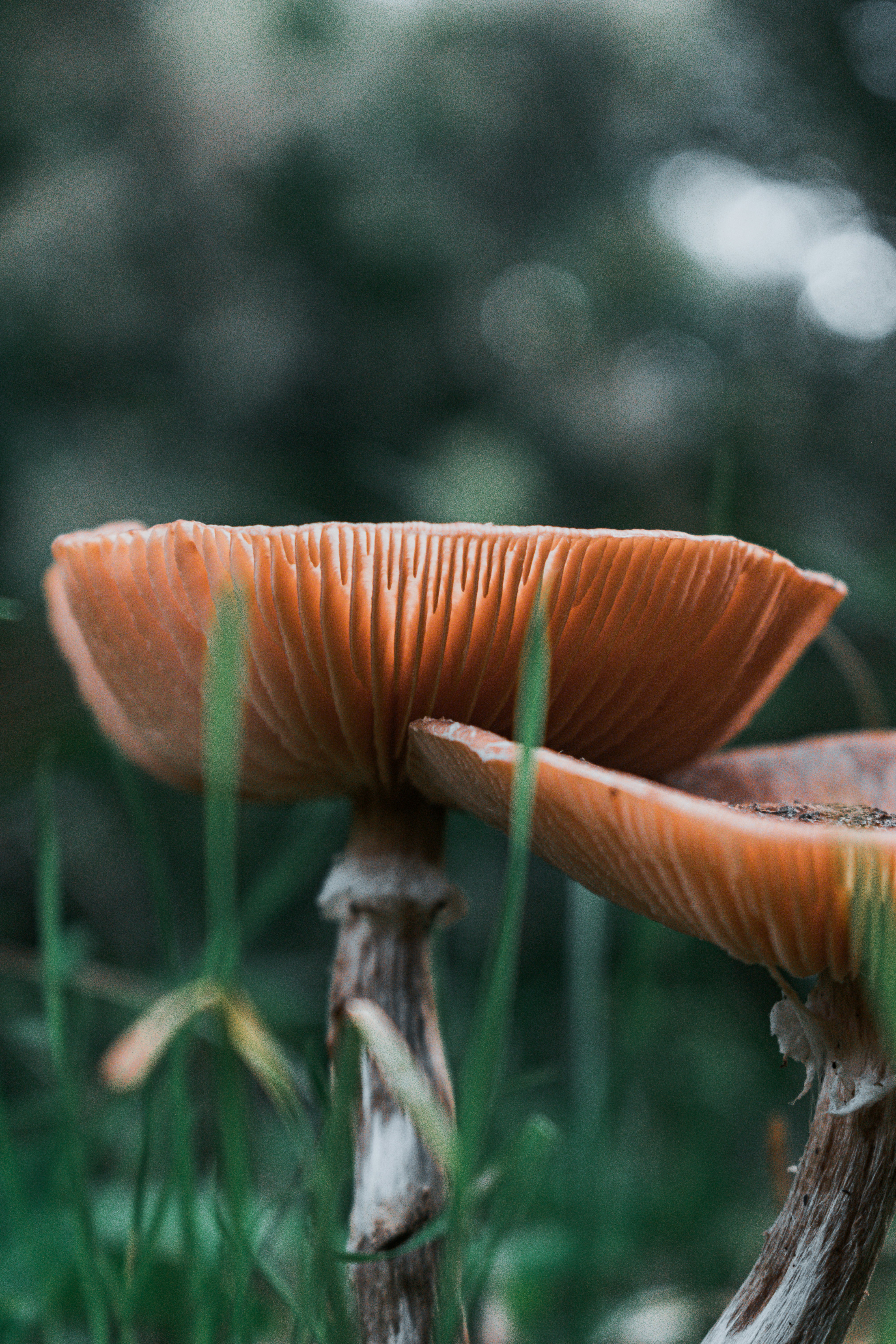 Photo by vadym_alyekseyenko