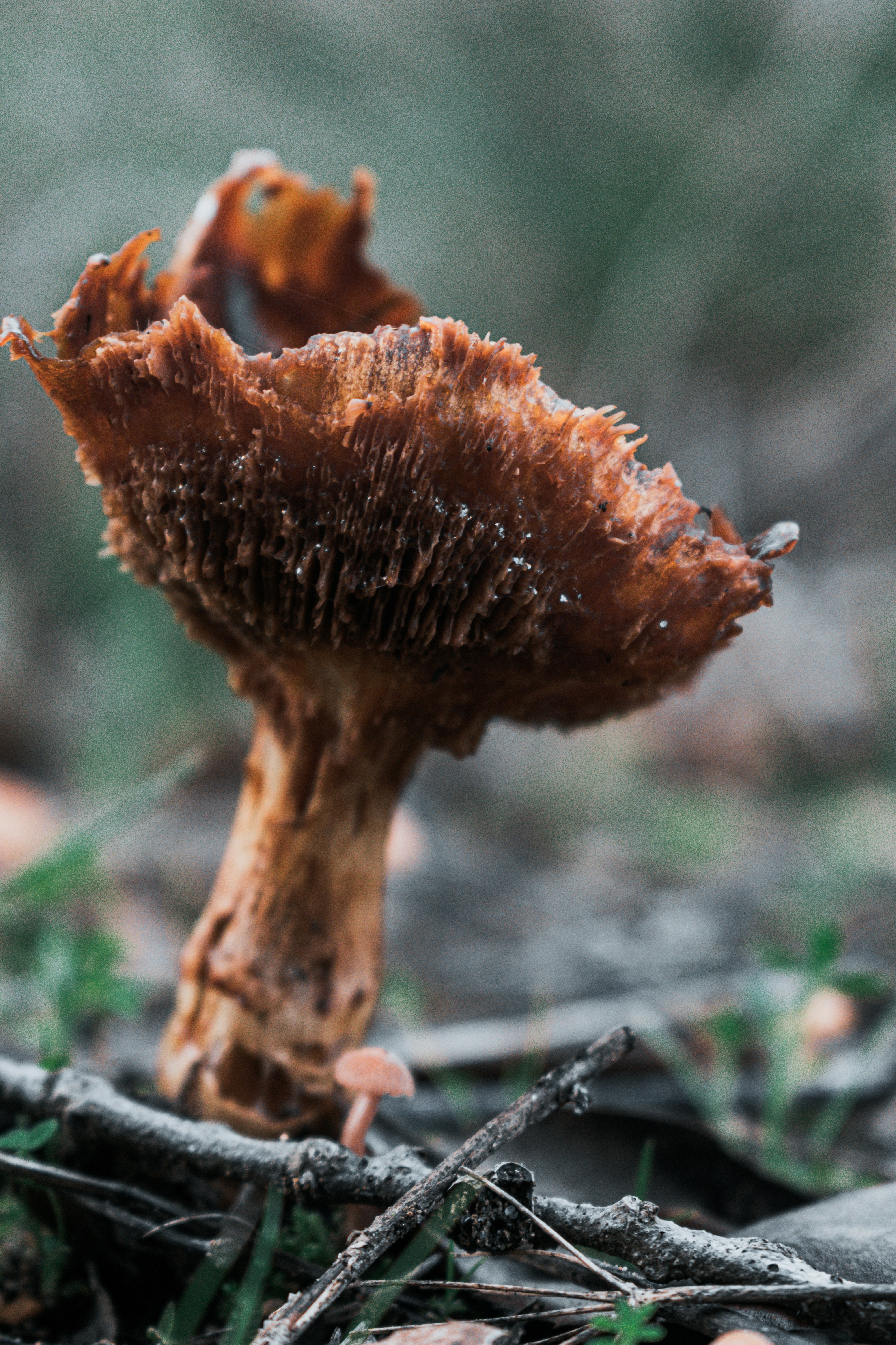 Photo by vadym_alyekseyenko