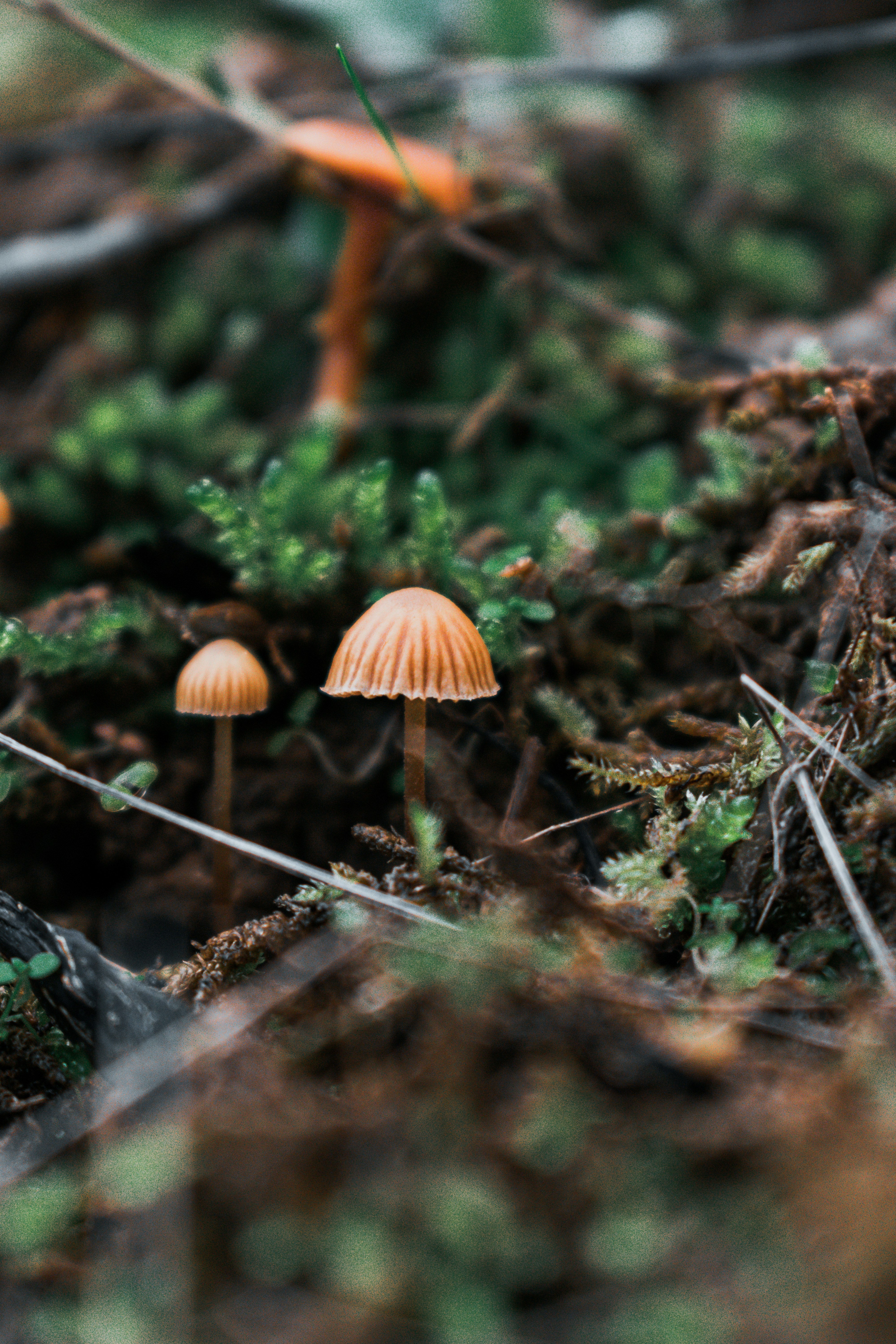 Photo by vadym_alyekseyenko