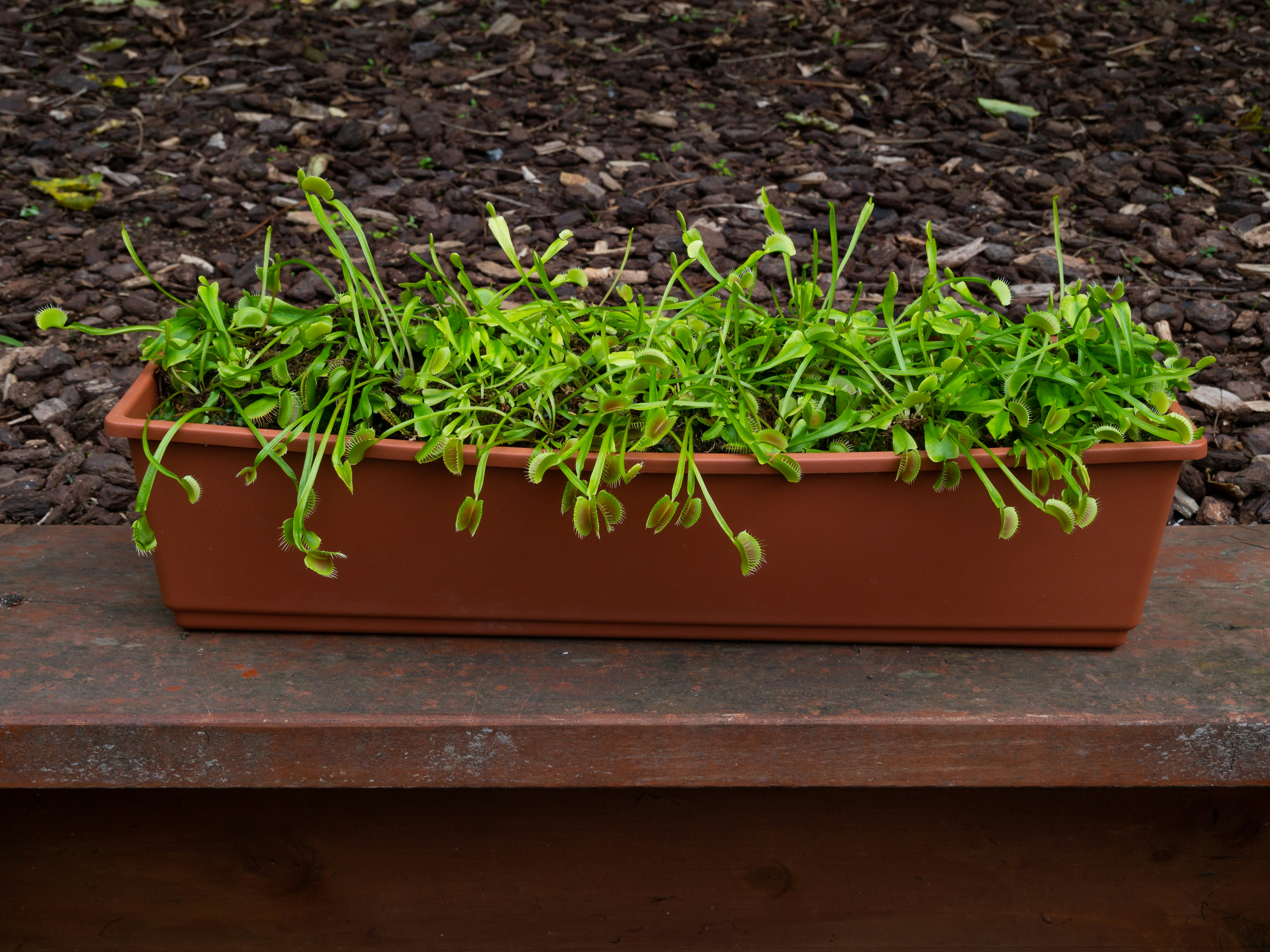 Photo by sschusterphotoart