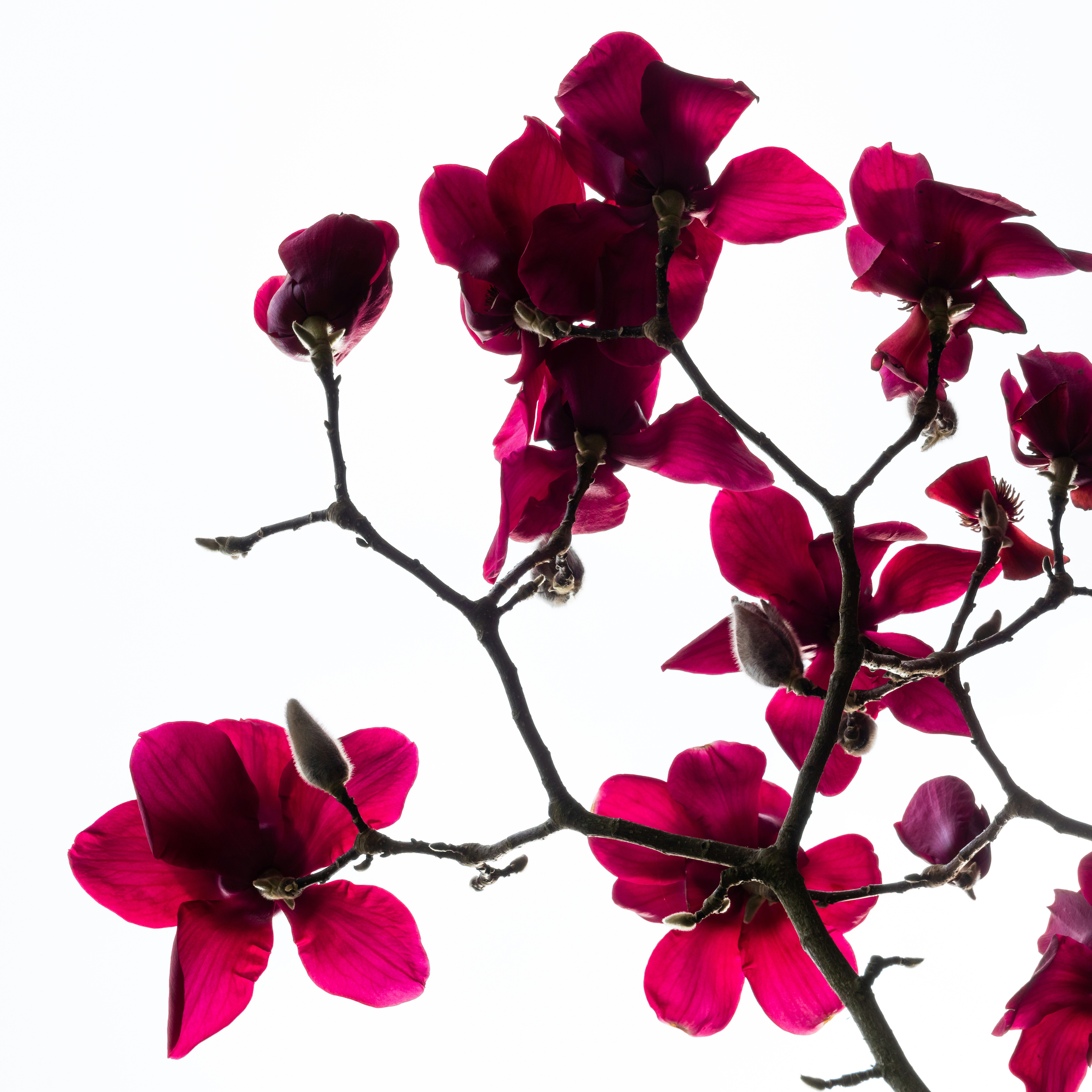 Photo by sschusterphotoart