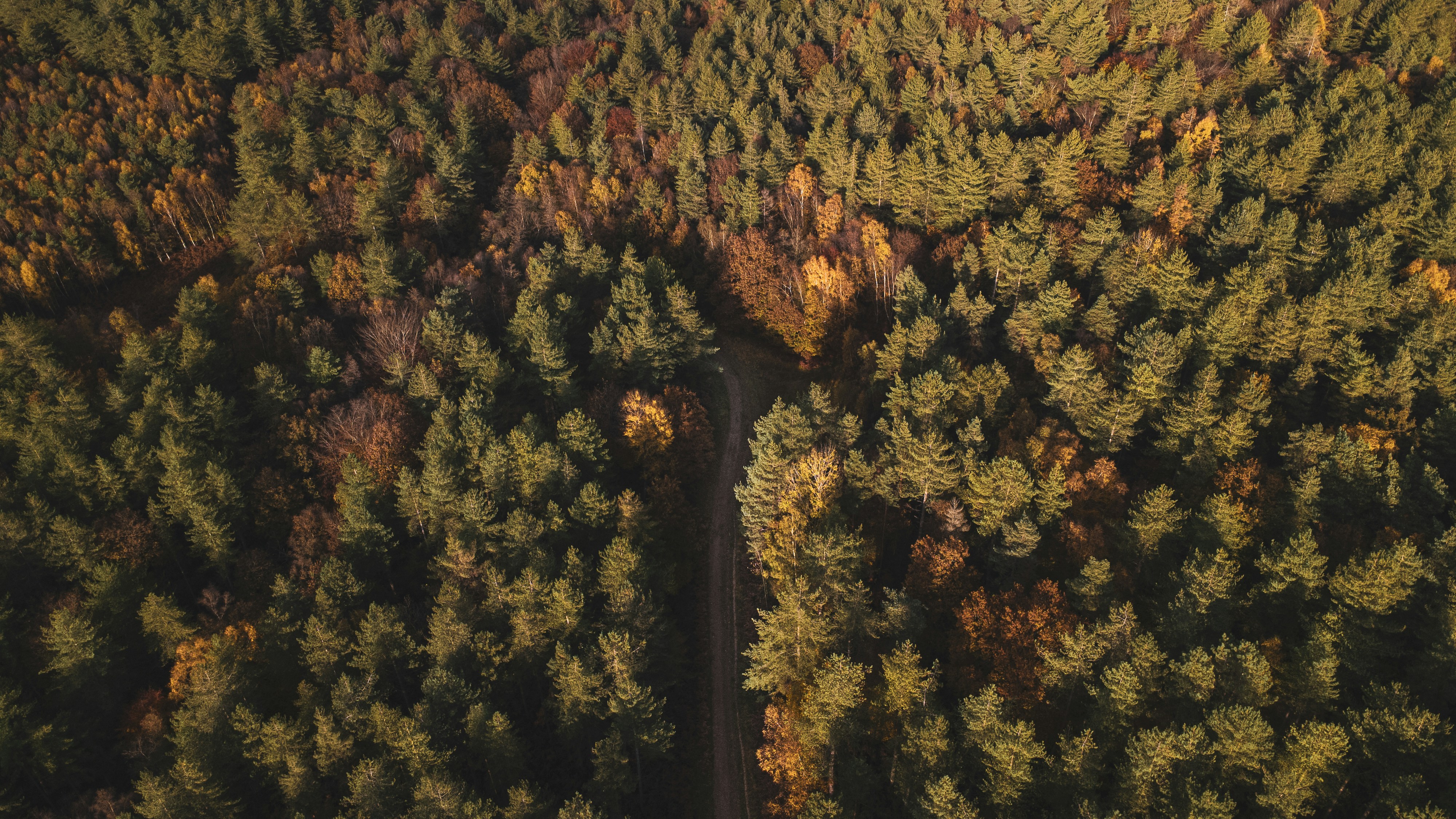 Photo by willcorrigan06