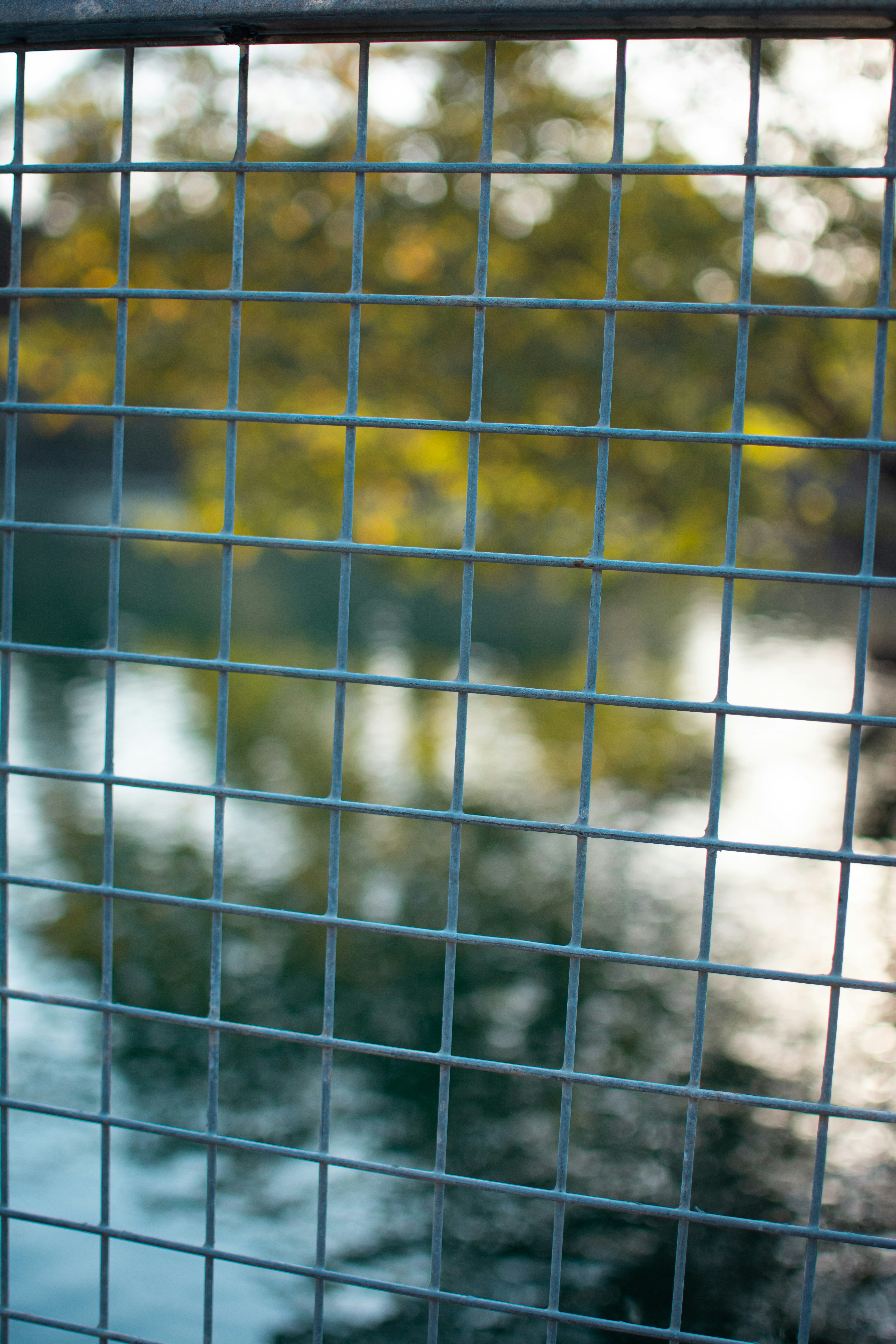 Drahtzaun mit verschwommenen Bäumen und Wasserhintergrund