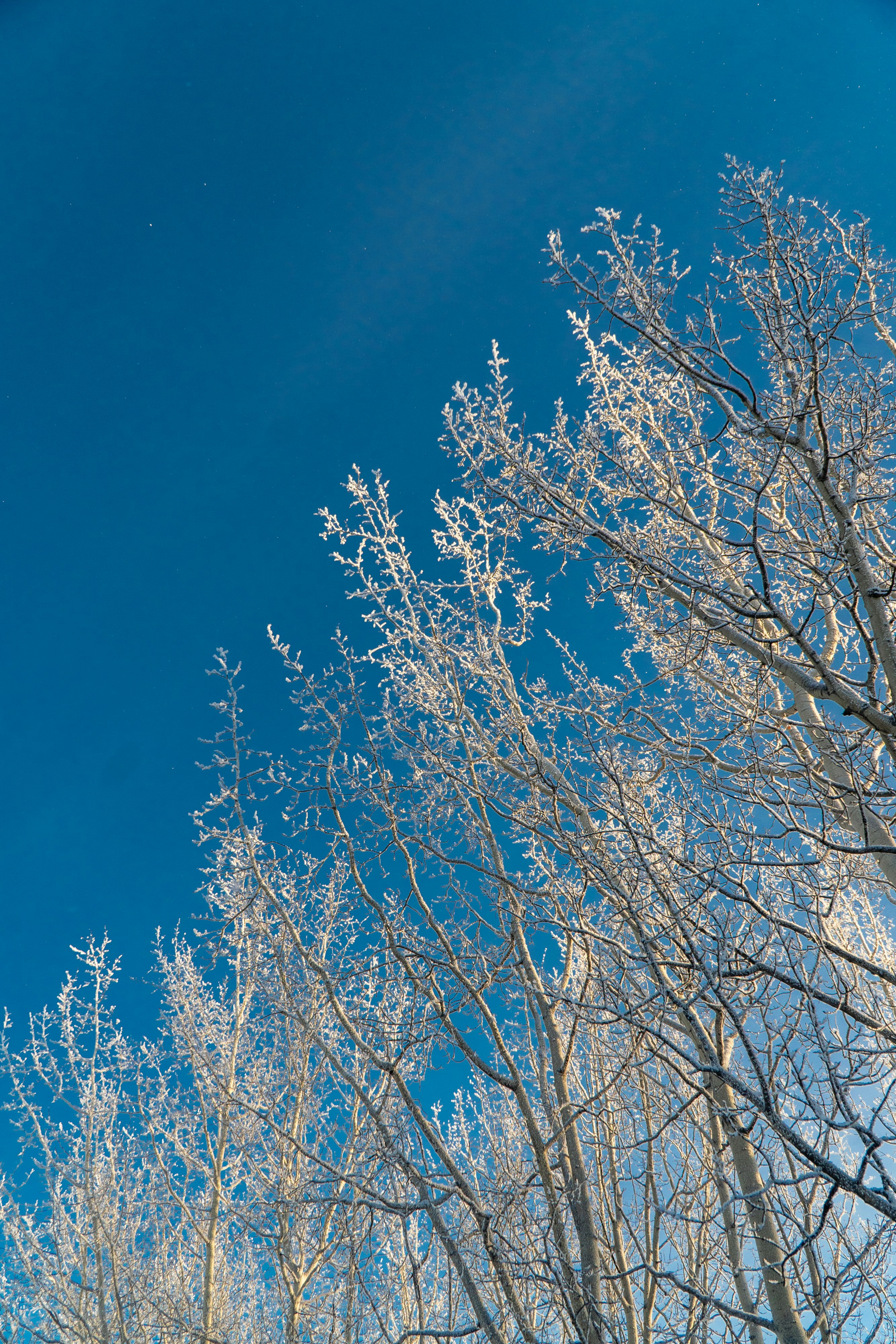 Photo by koreandirtbag