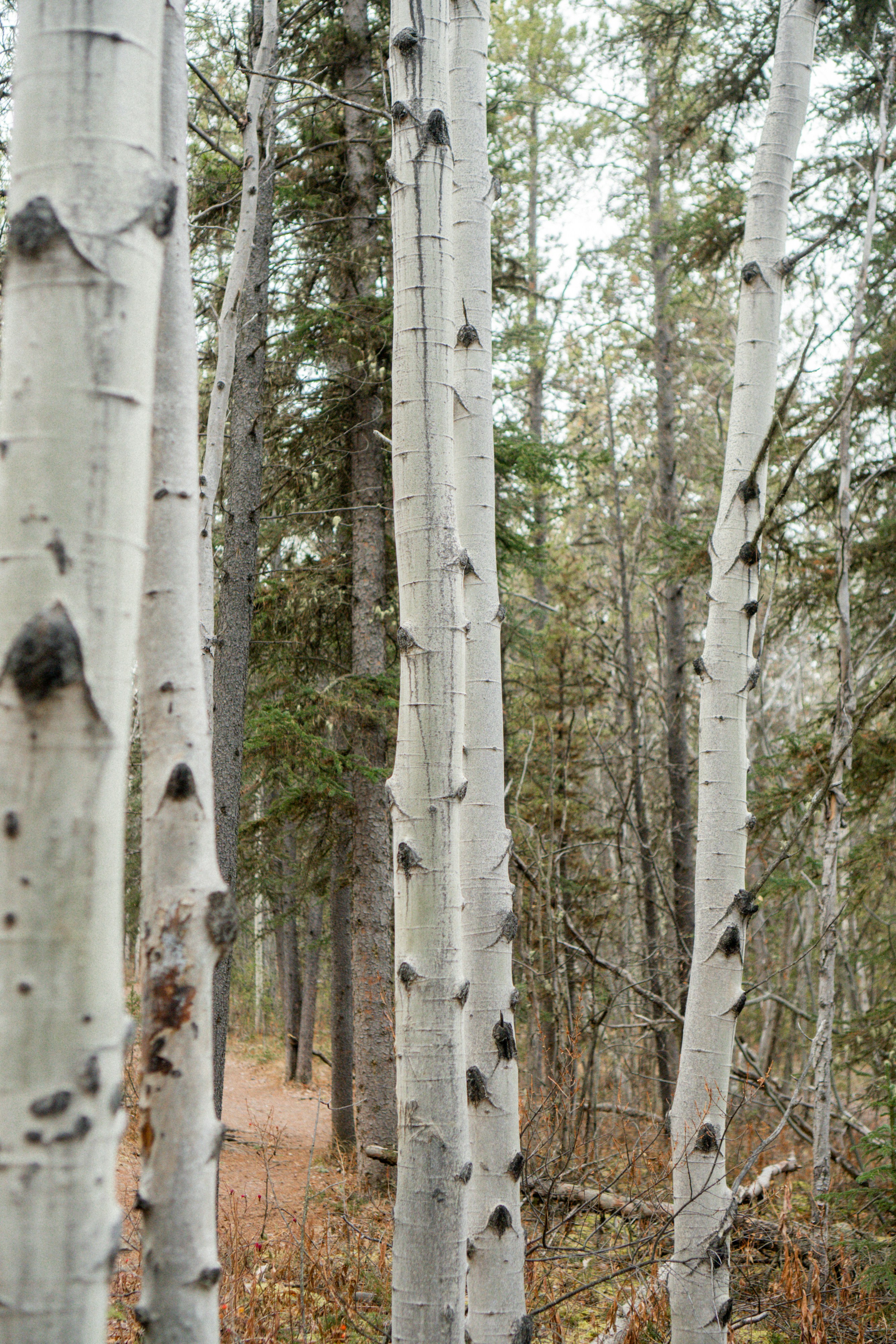 Photo by koreandirtbag