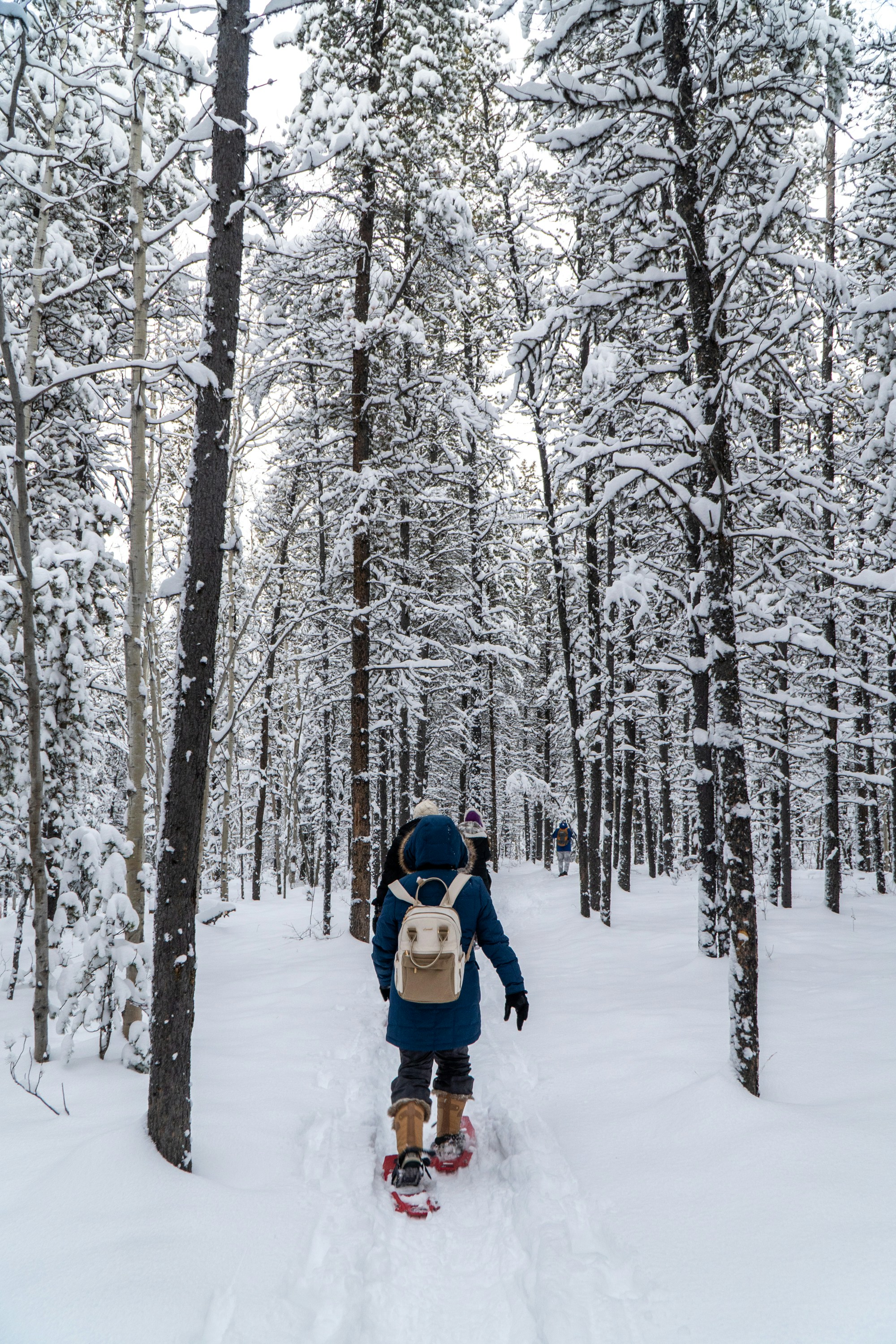 sports walking wallpaper, wallpaper, Sejarah Jalan Cepat: Evolusi dan Perkembangan 3