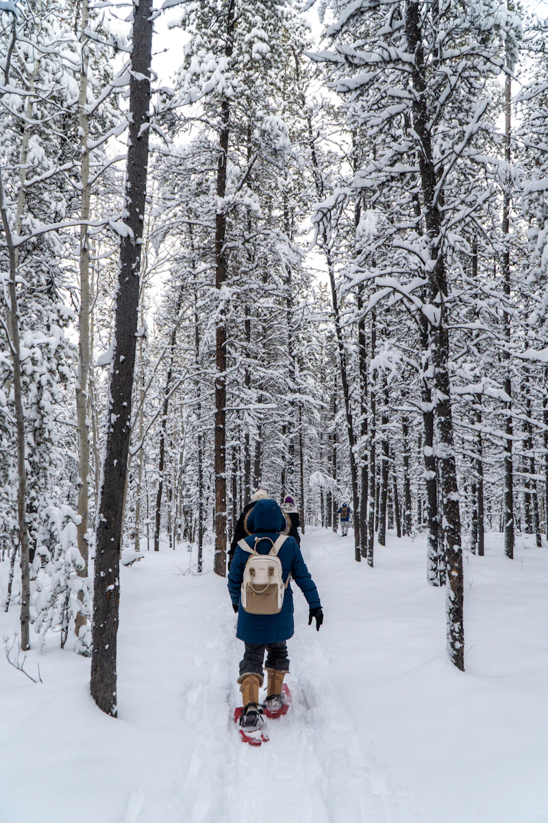 Kartepe snowshoe walk and winter games
