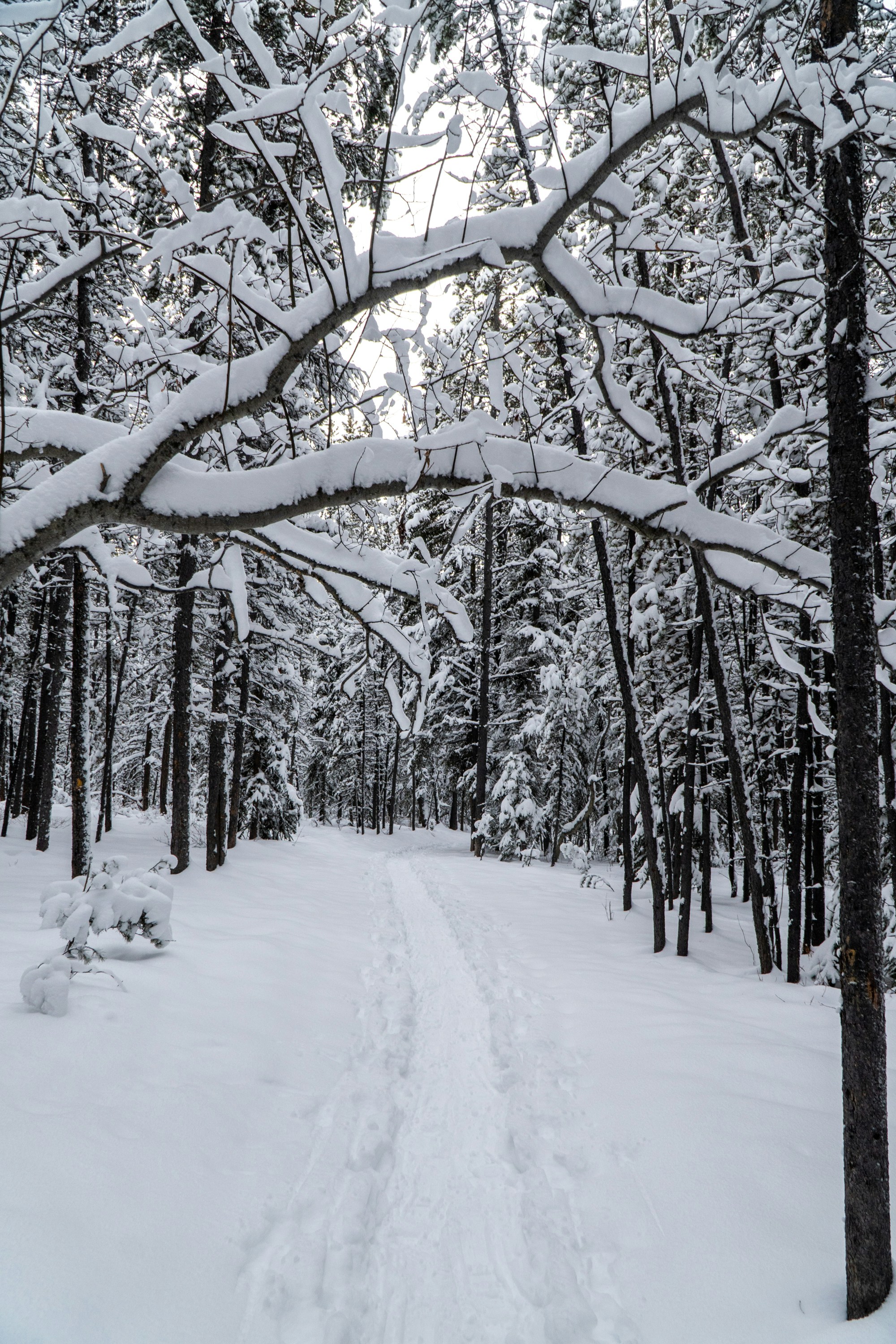 Photo by koreandirtbag