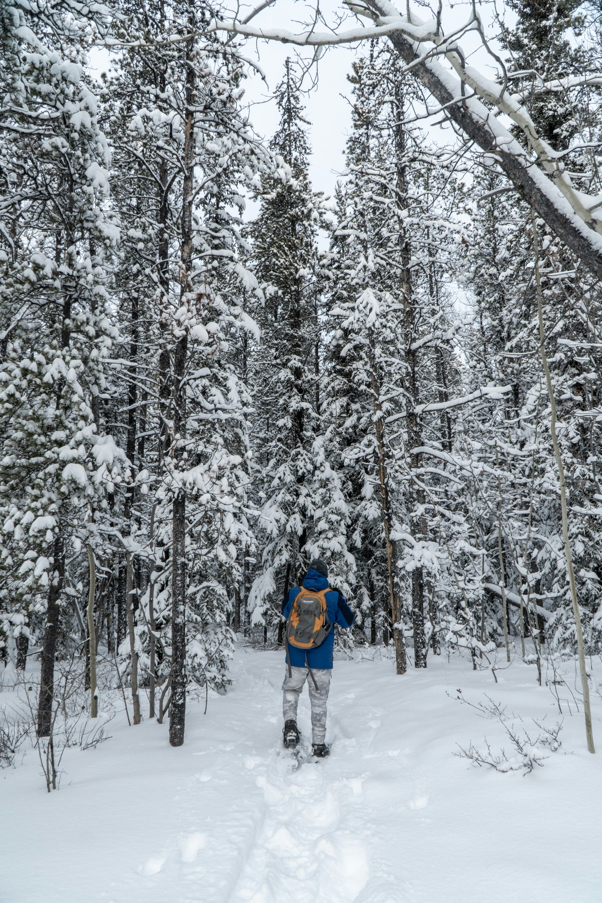 Photo by koreandirtbag