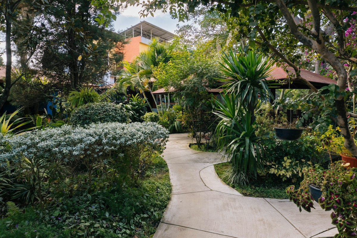 Winding Garden Path with Greenery