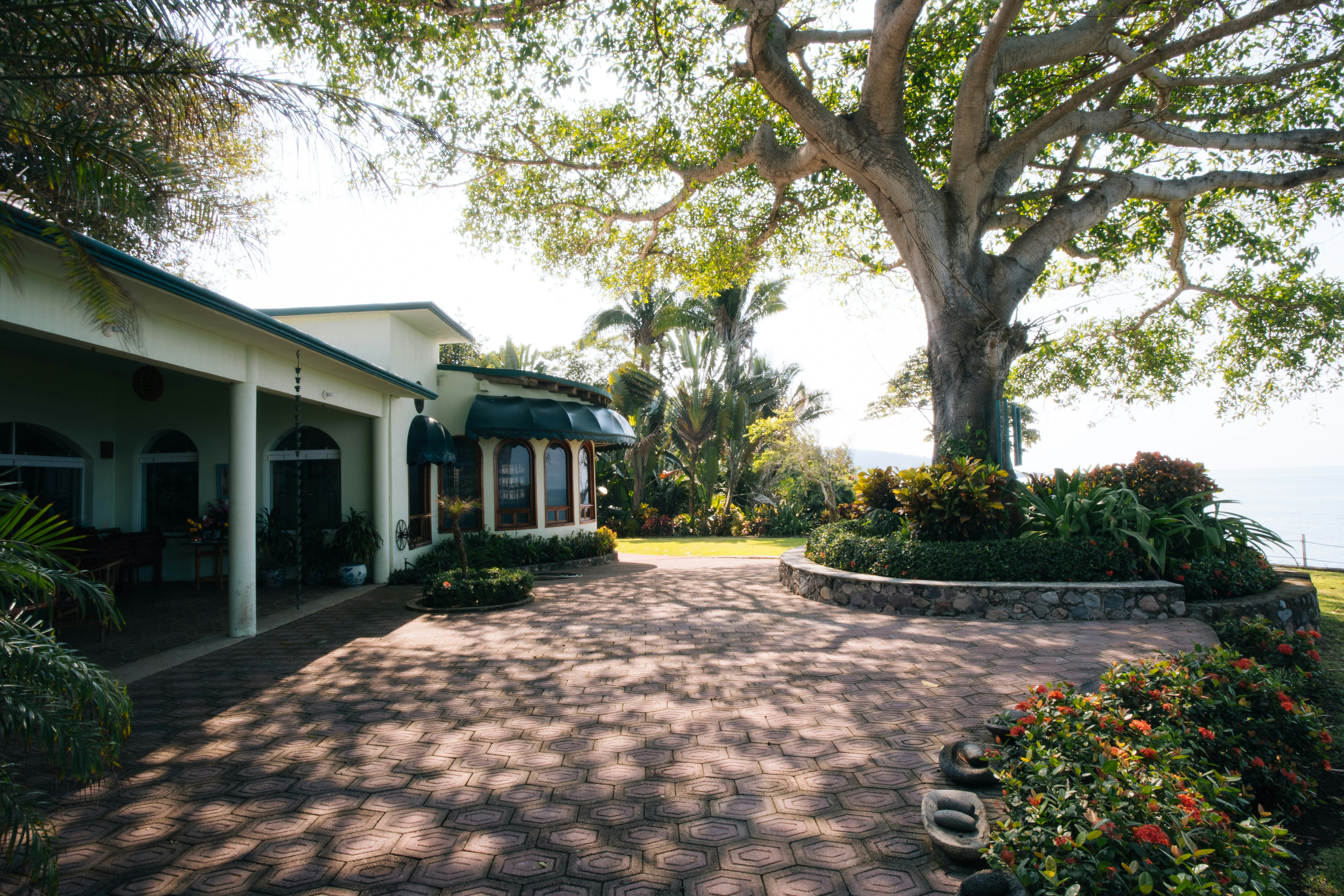 A large tree shades a paved patio and house