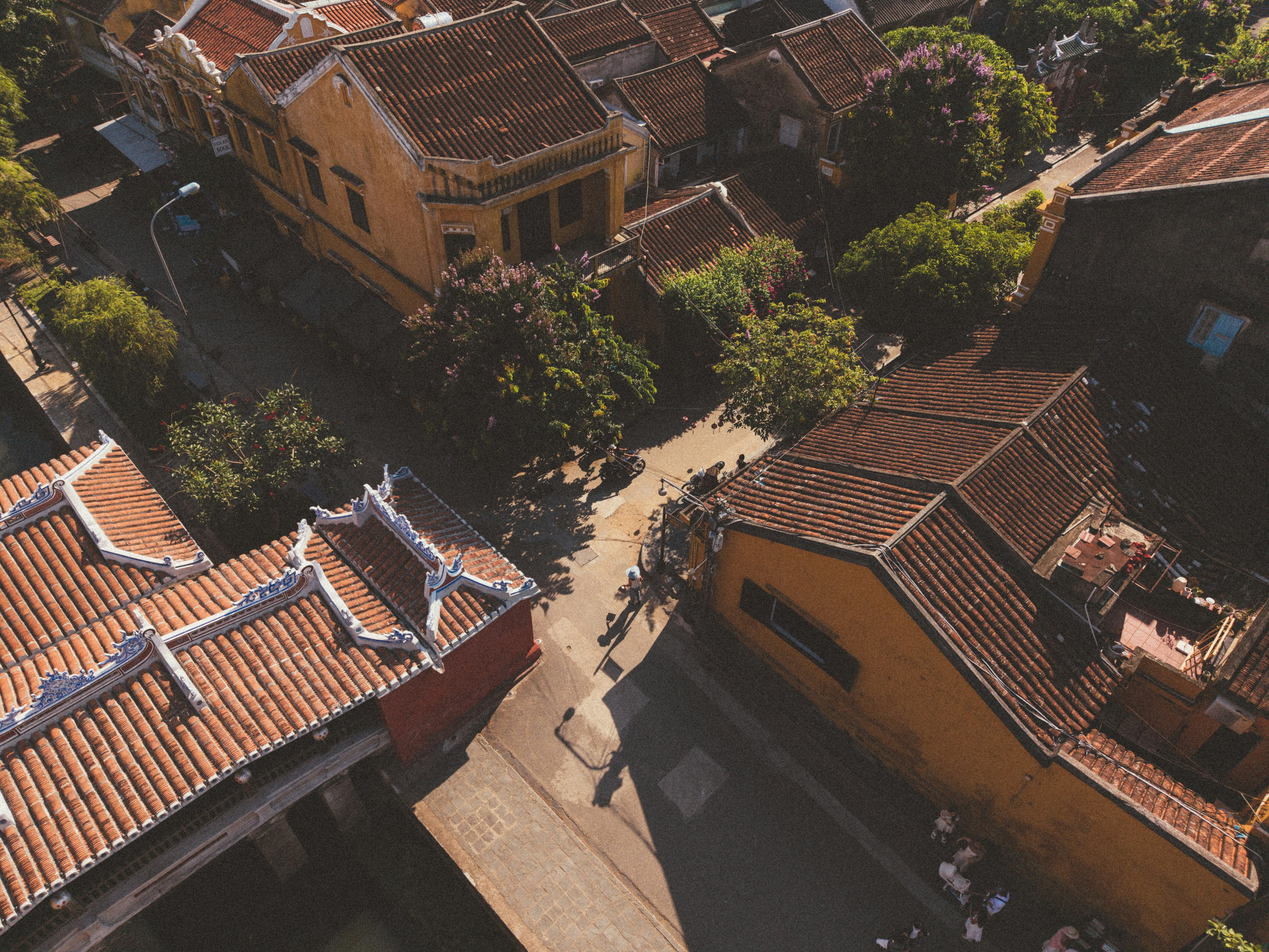 Photo by hoianphotographer